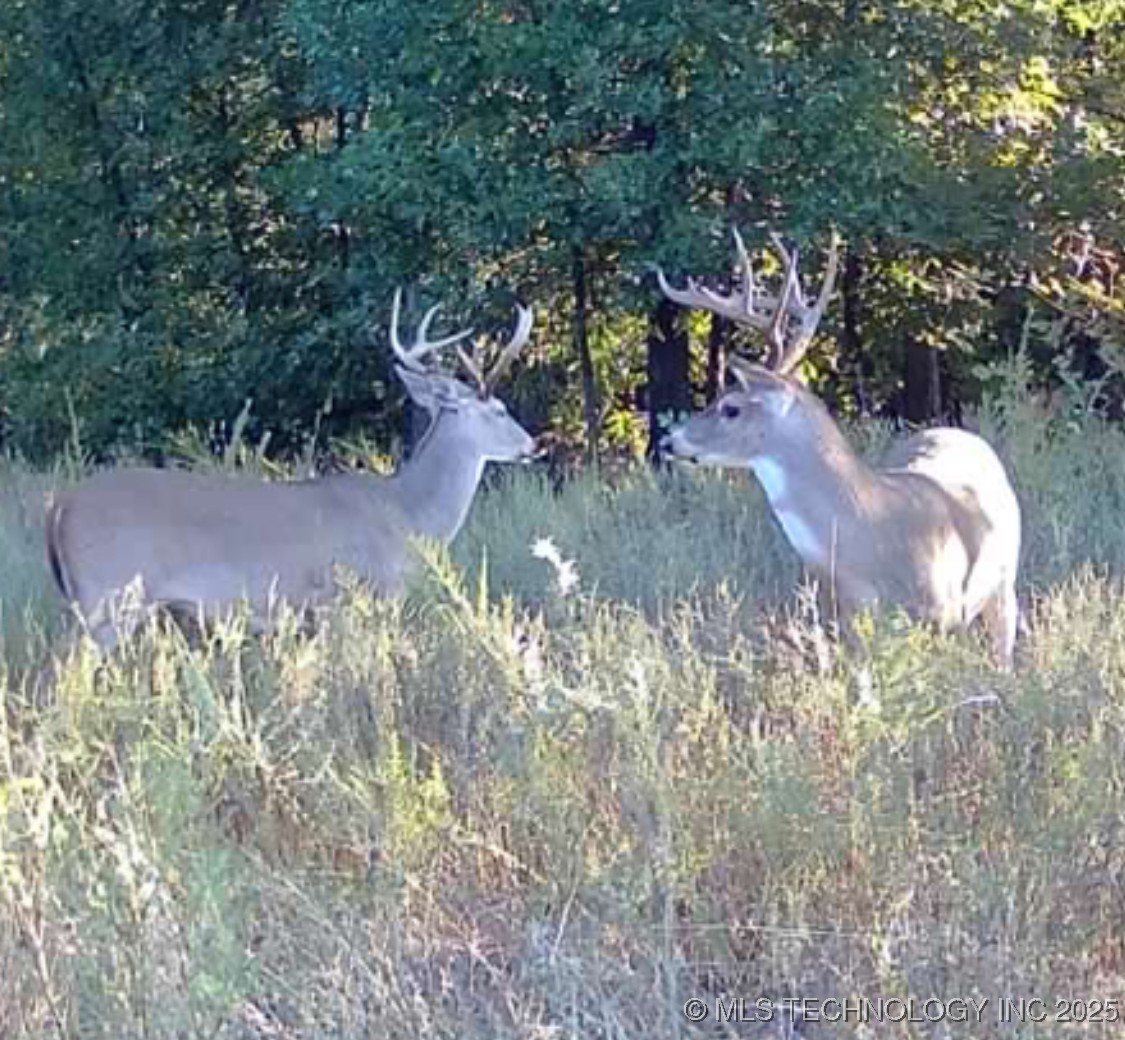 Haskell, Oklahoma, 74436, United States, ,Residential,For Sale,1989173