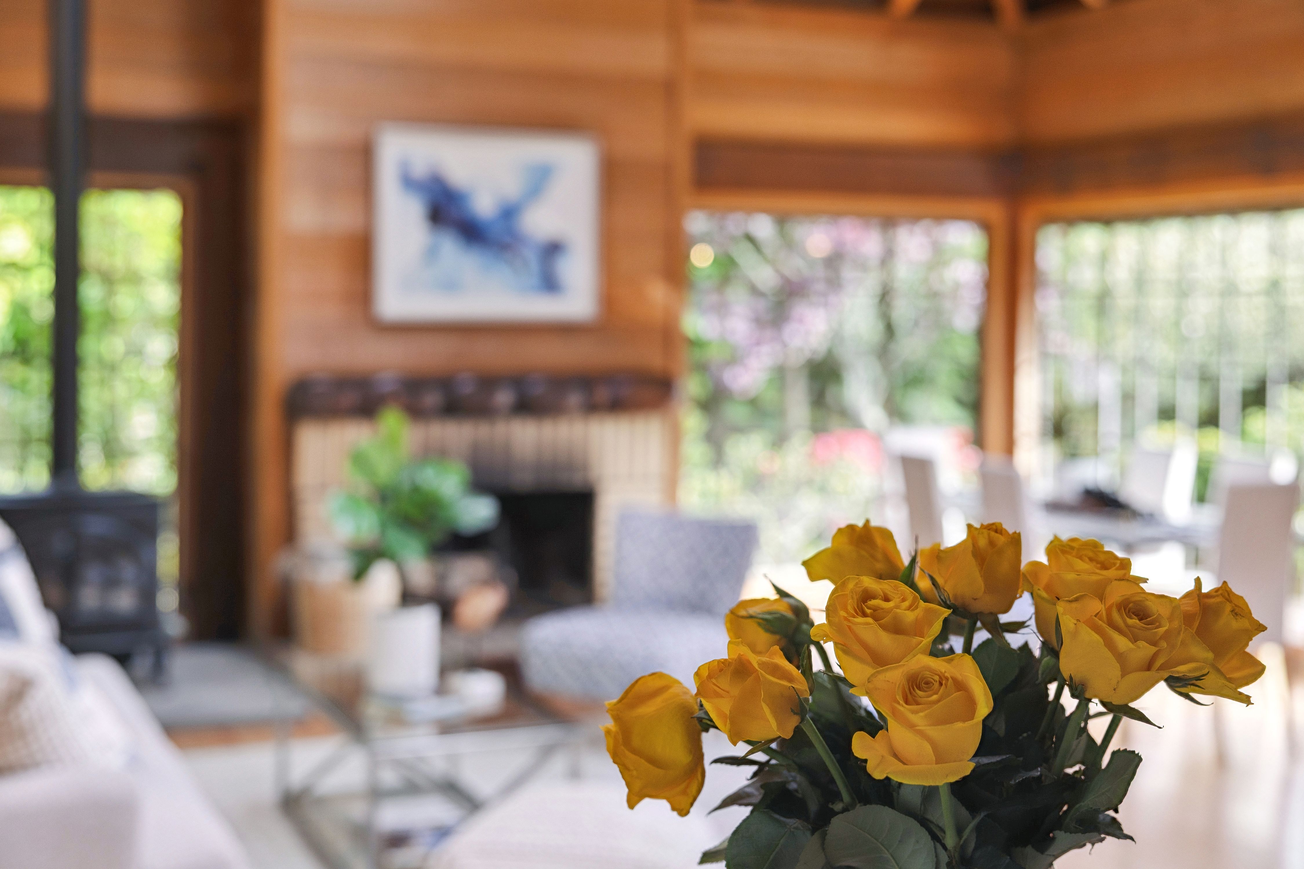  Redwood, Glass, and Companion Spaces - 物件實景