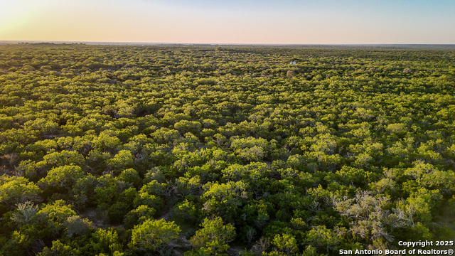 Beeville, Texas, 78102, United States, ,Land,For Sale,1942121
