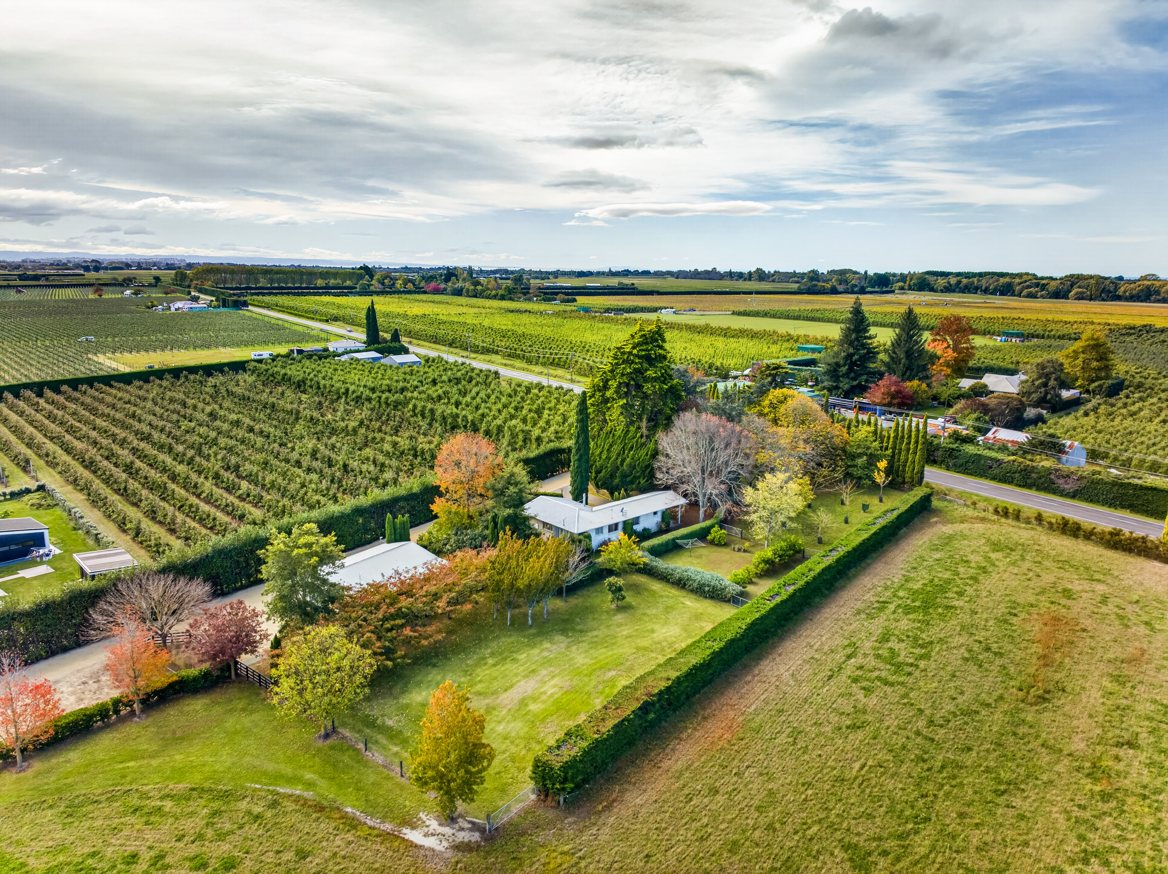  116 Te Mata Mangateretere Road, Havelock North - 物件實景