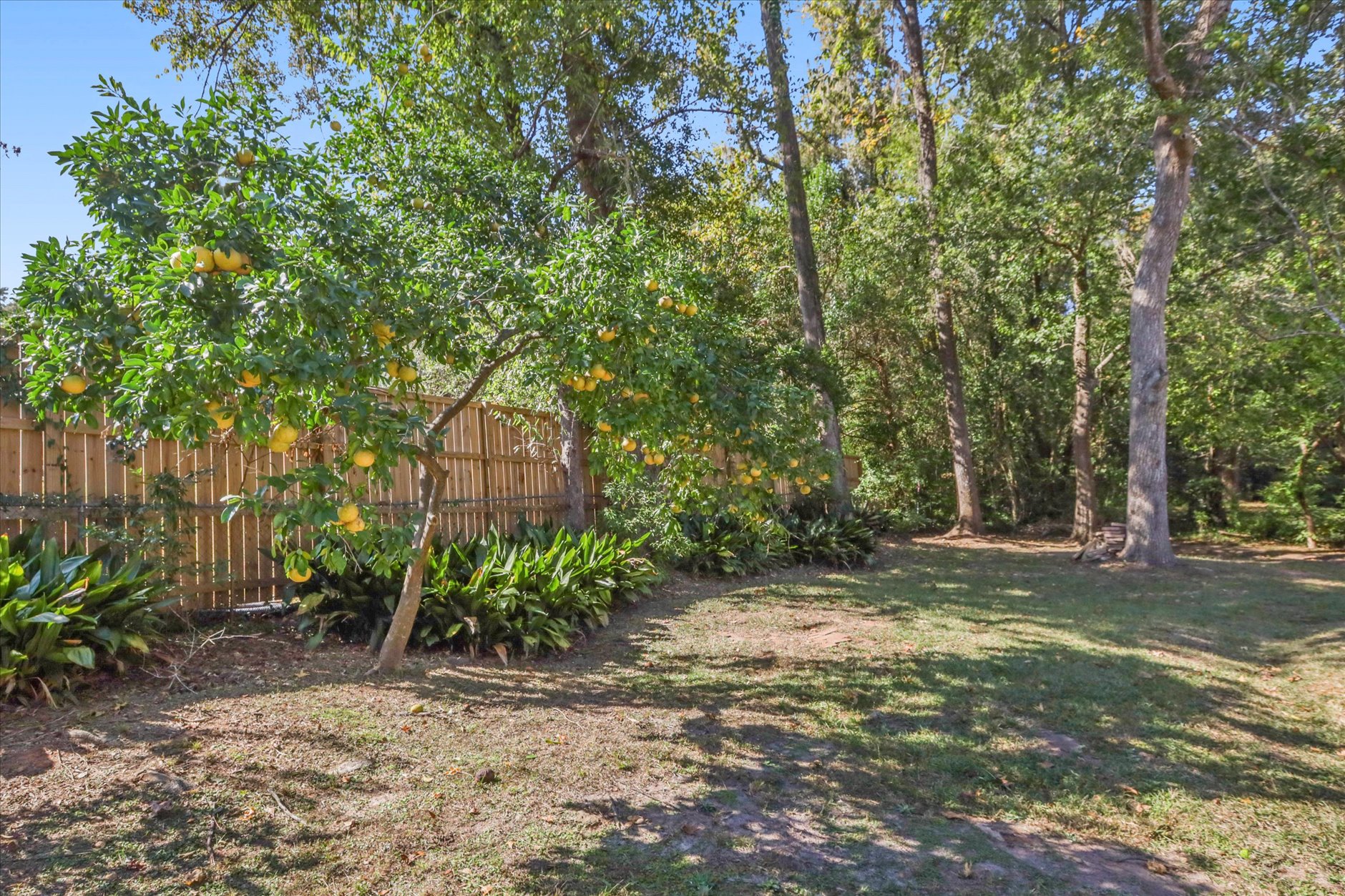 Tallahassee, Florida, 32308, United States, 4 Bedrooms Bedrooms, ,3 BathroomsBathrooms,Residential,For Sale,2012619