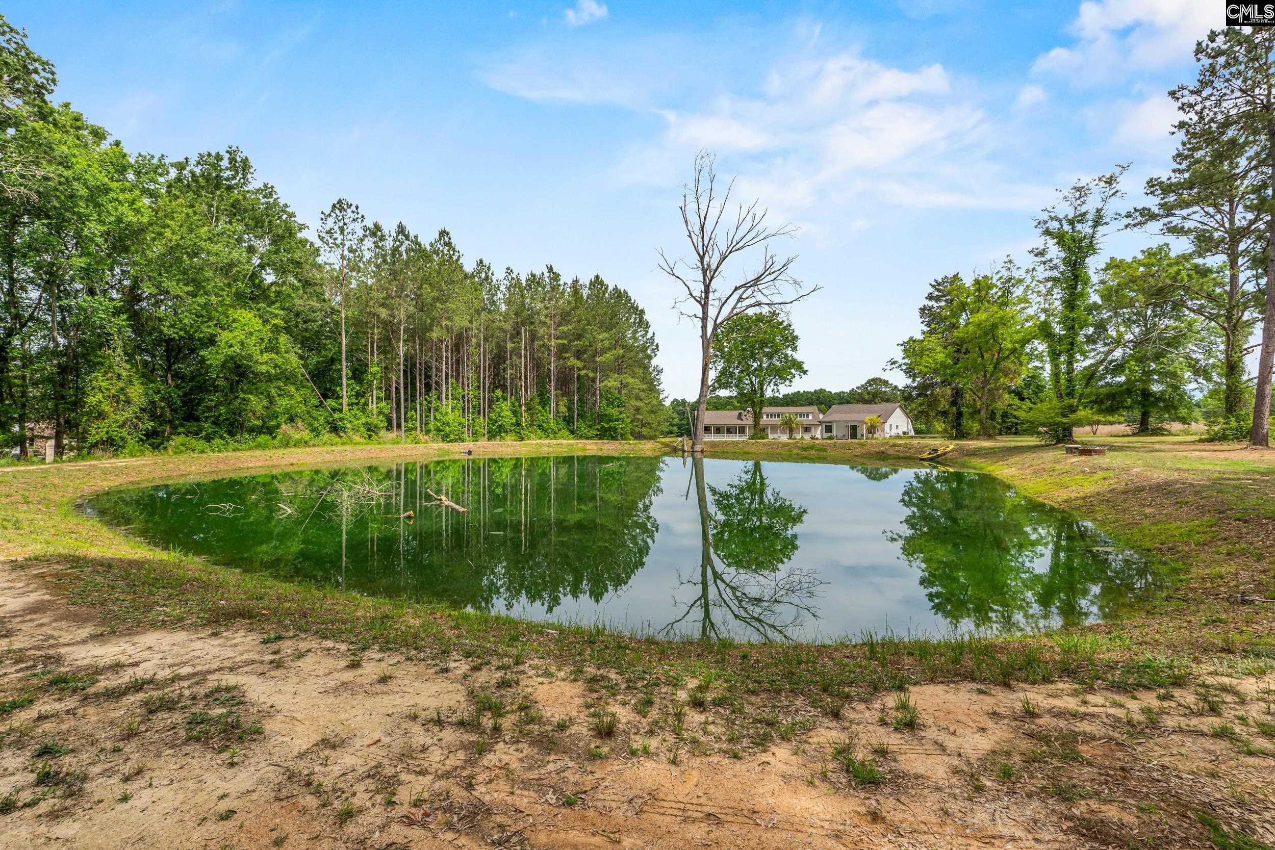  213 Tombfield Road - 物件實景
