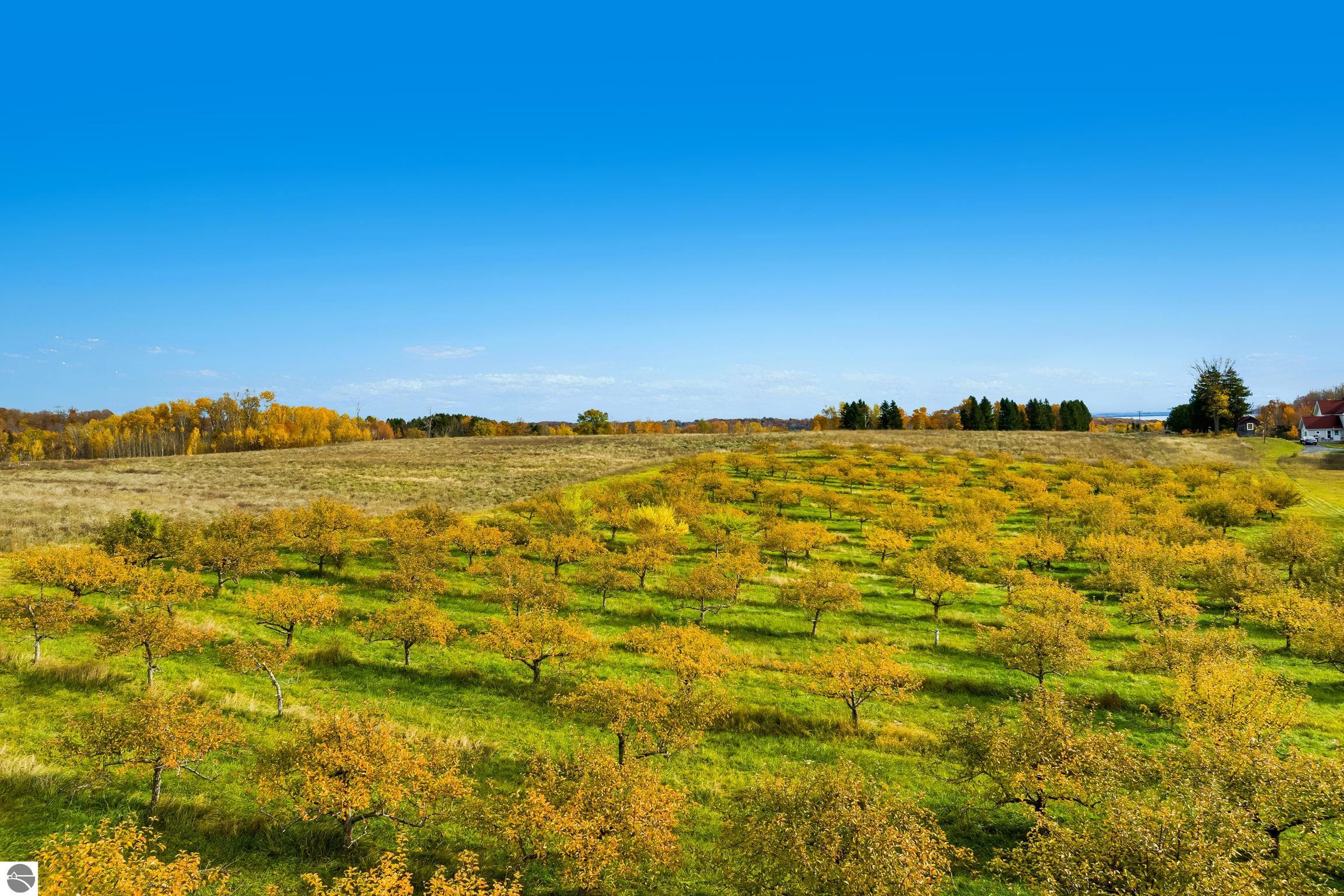 Suttons Bay, Michigan, 49682, United States, ,Land,For Sale,1990324