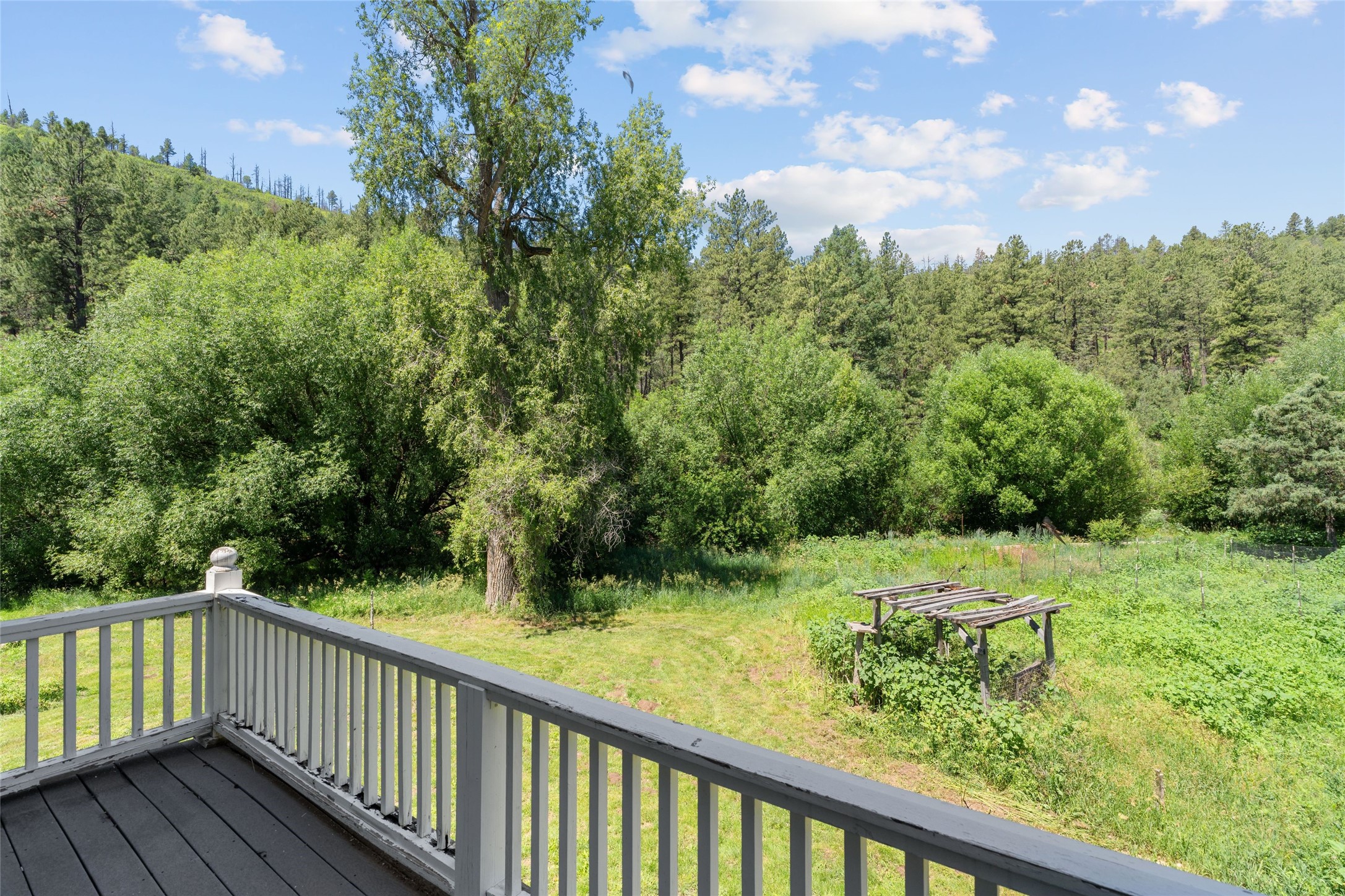  997 New Mexico Highway 65 - Rio de Vega Ranch - 物件實景