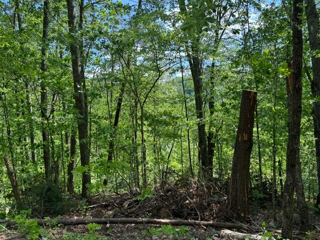 Sevierville, Tennessee, 37876, United States, 13 Bedrooms Bedrooms, ,14 BathroomsBathrooms,Residential,For Sale,1974606