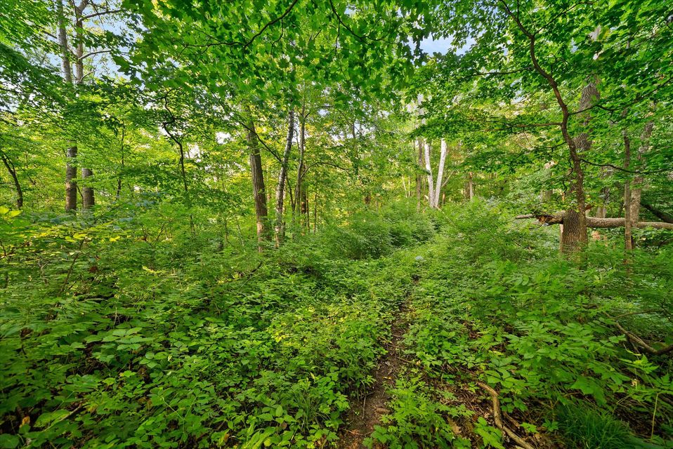 Rhine, Wisconsin, 53020, United States, ,Land,For Sale,1983397