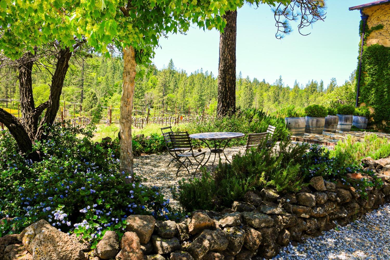 Placerville, California, 95667, United States, 4 Bedrooms Bedrooms, ,2 BathroomsBathrooms,Residential,For Sale,1853951