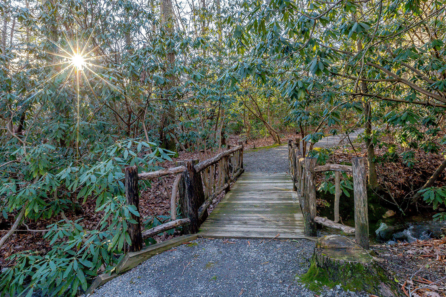  FAIRVIEW - 物件實景