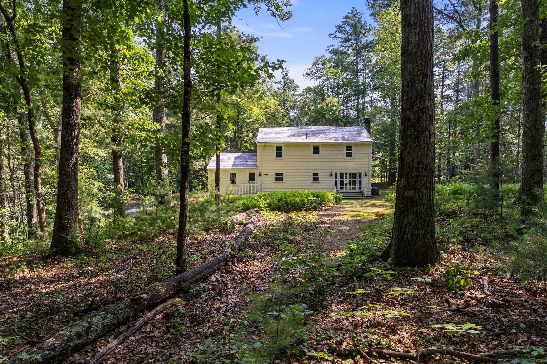  113 Newbridge Road, Sudbury, MA, 01776 - 物件實景