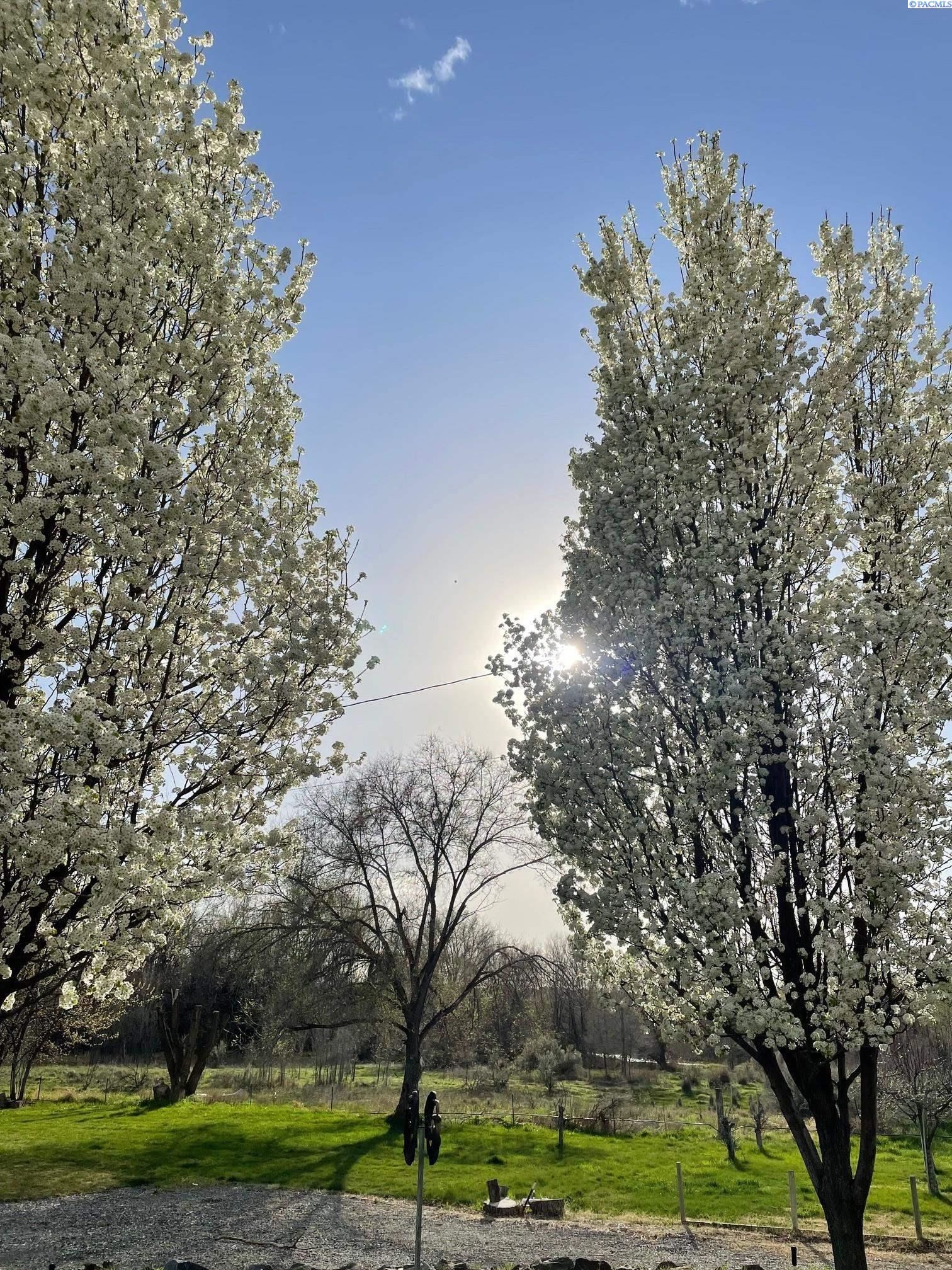 Richland, Washington, 99354, United States, 3 Bedrooms Bedrooms, ,2 BathroomsBathrooms,Residential,For Sale,1978459