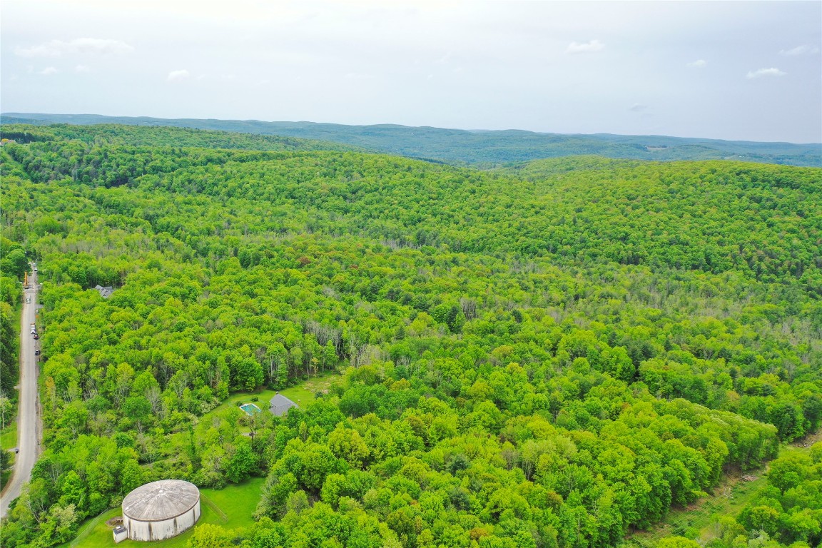Vestal, New York, 13850, United States, ,Residential,For Sale,1935631