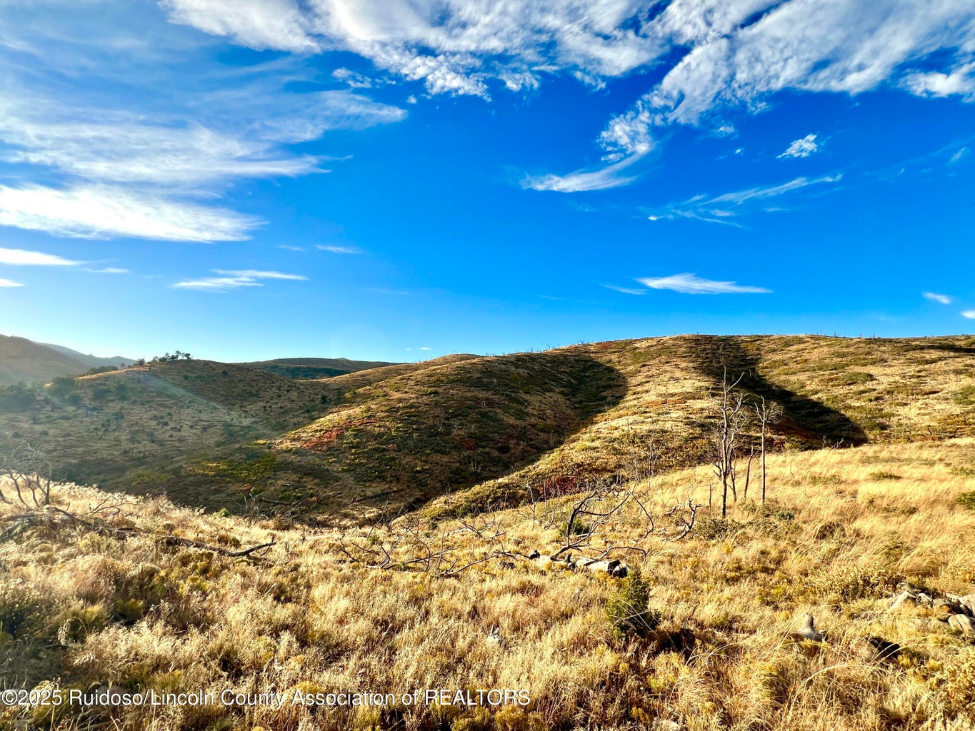 Nogal, New Mexico, 88341, United States, ,Land,For Sale,1988208