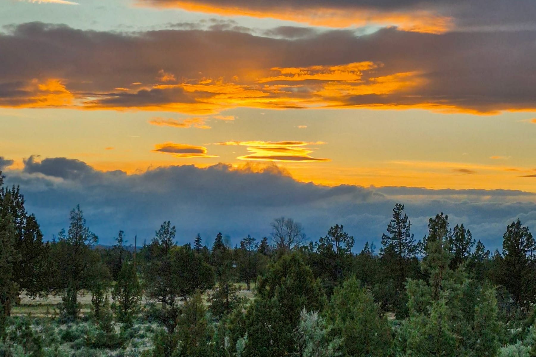  3660 SW Parrish Lane Powell Butte, OR 97753 - 物件實景