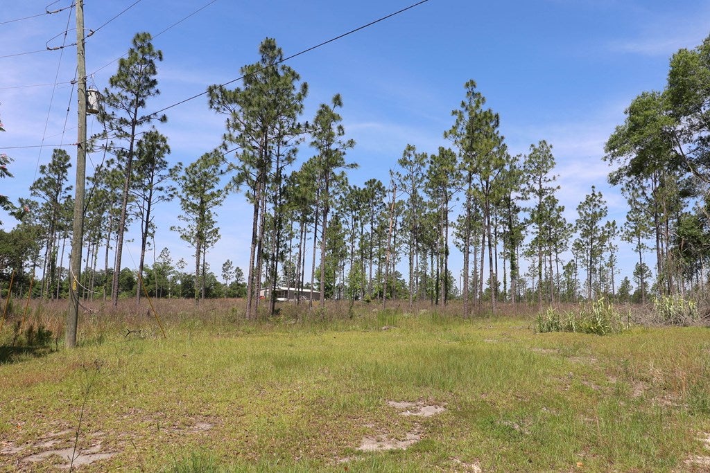 Cottonwood, Alabama, 36320, United States, ,Land,For Sale,1840022