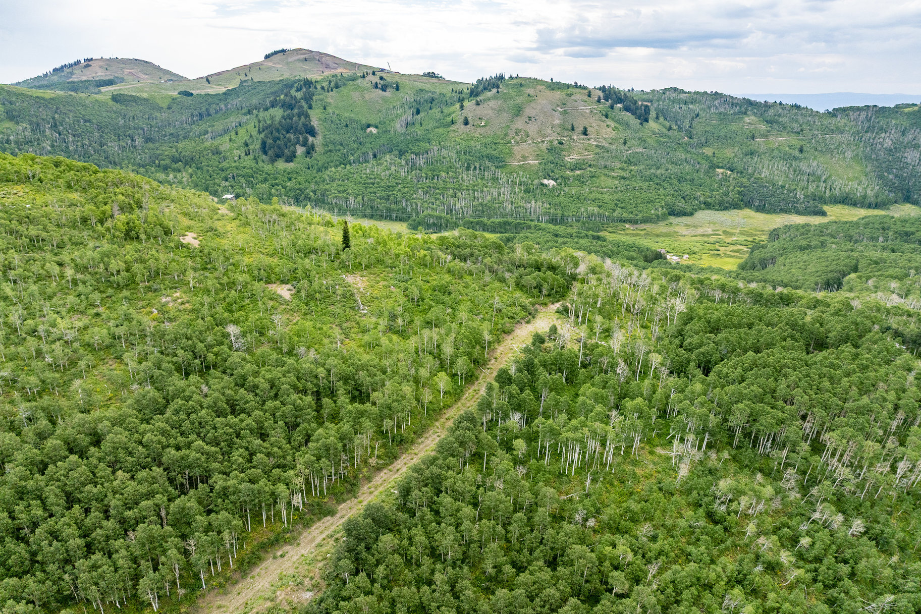  24 Acre Development Parcel in Bonanza Flats - 物件實景