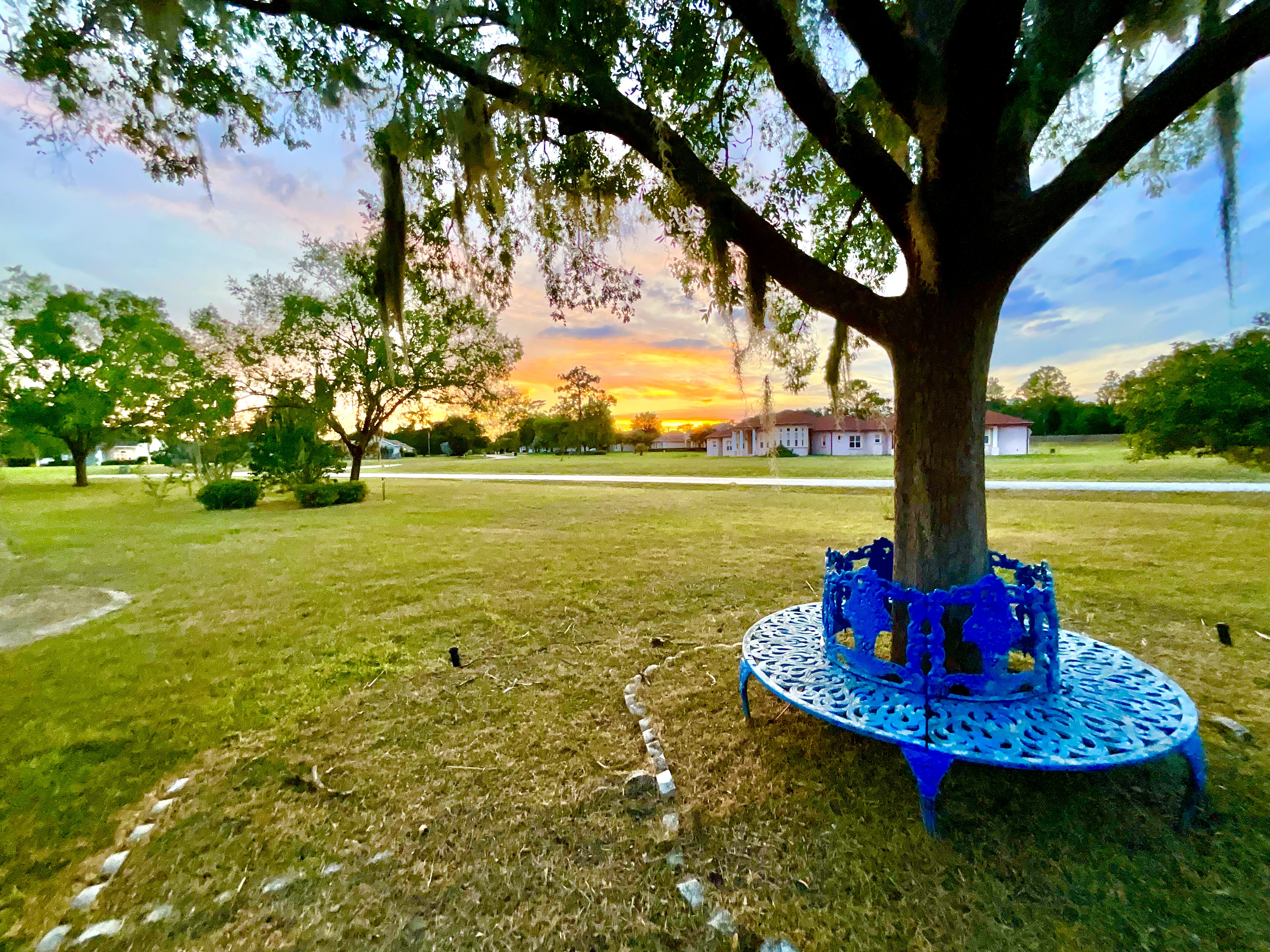 Silver Springs, Florida, 34488, United States, 4 Bedrooms Bedrooms, ,3 BathroomsBathrooms,Residential,For Sale,1981770