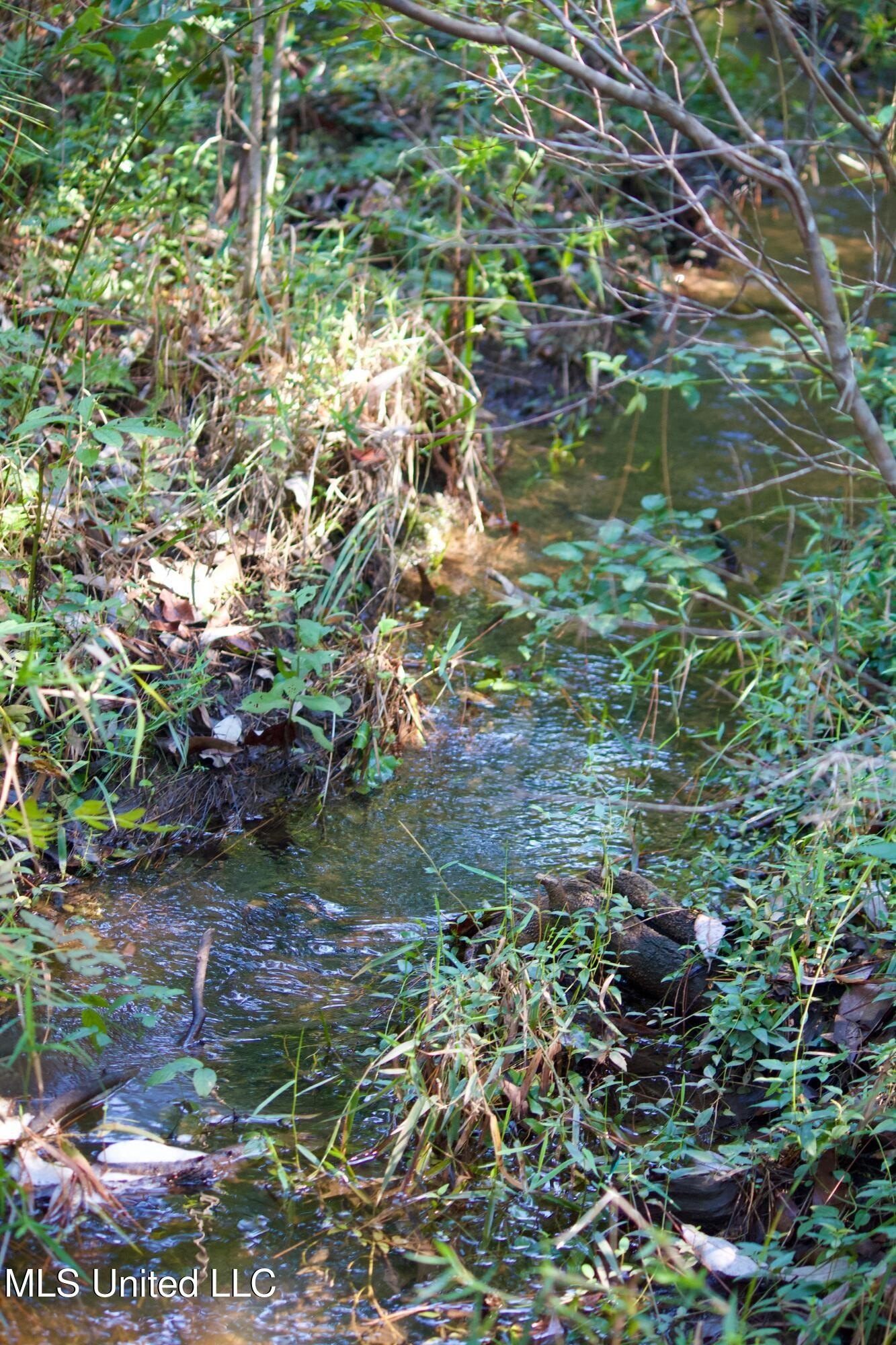 Lucedale, Mississippi, 39452, United States, ,Land,For Sale,1974704