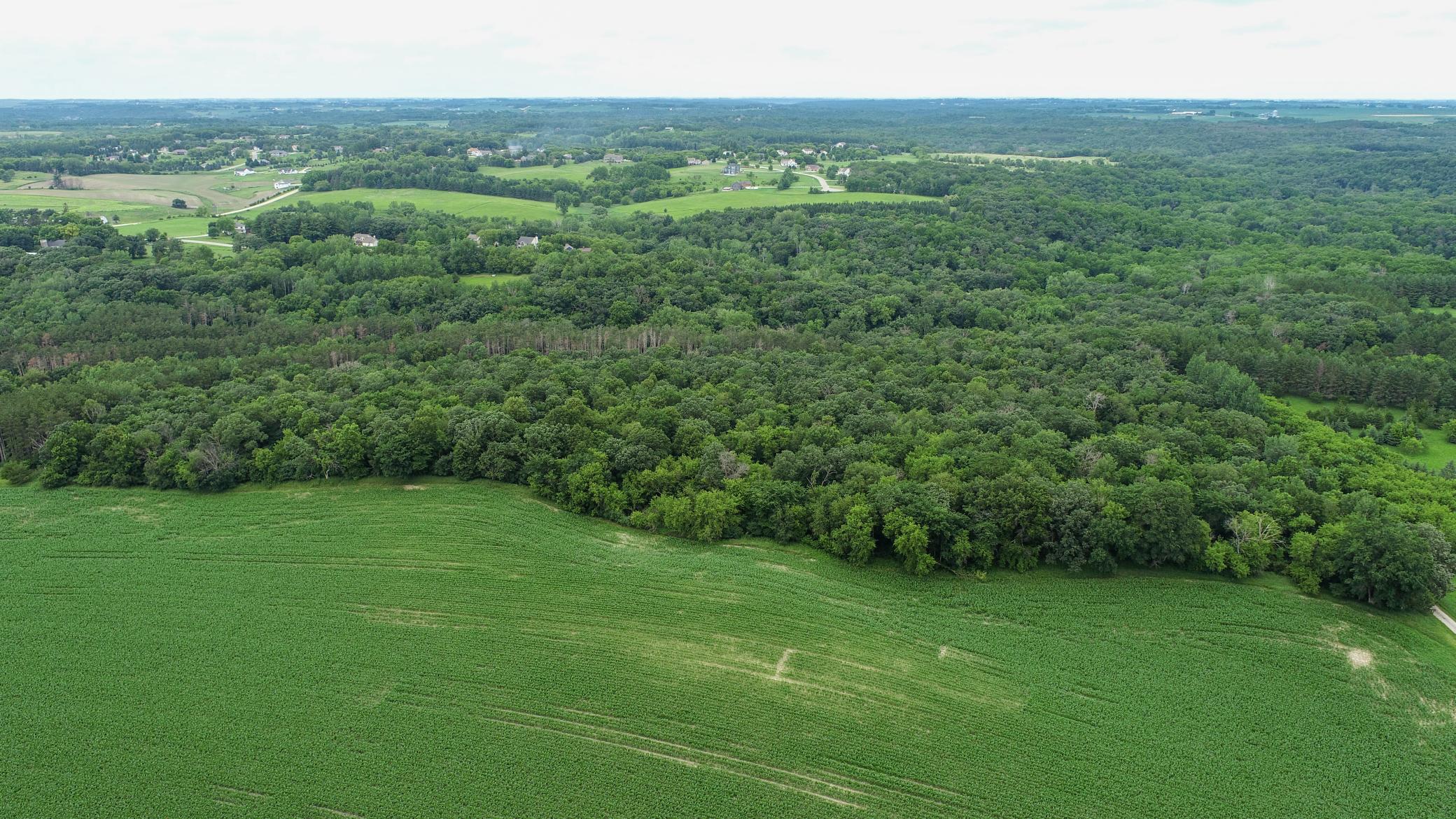Tbd 75th Street NW, Oronoco Twp, Minnesota, 55901, United States, ,Land,For Sale,Tbd 75th Street NW,1626085