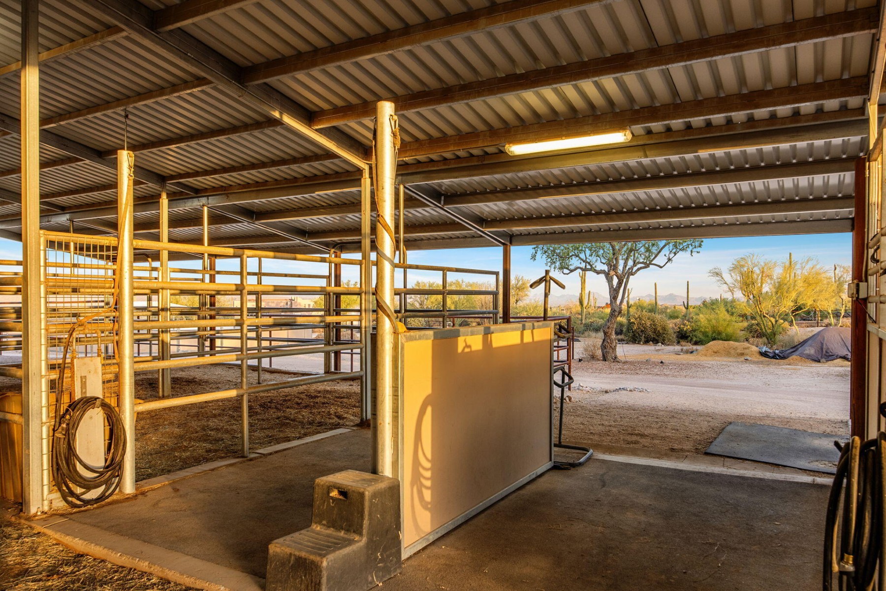  31208 N 176th St, Rio Verde, AZ 85263 - 物件實景