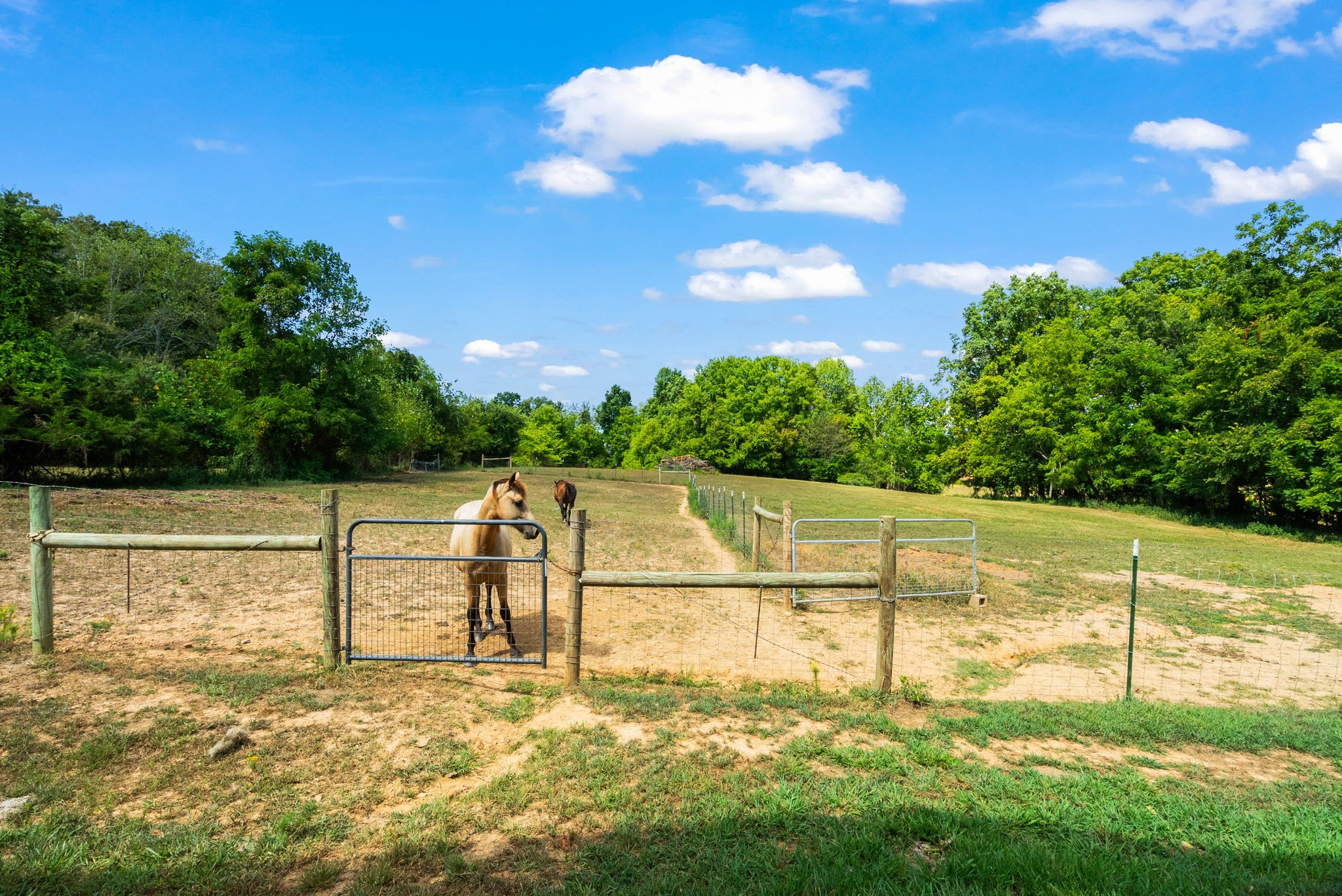 Cedar Hill, Tennessee, 37032, United States, 3 Bedrooms Bedrooms, ,2 BathroomsBathrooms,Residential,For Sale,1981088
