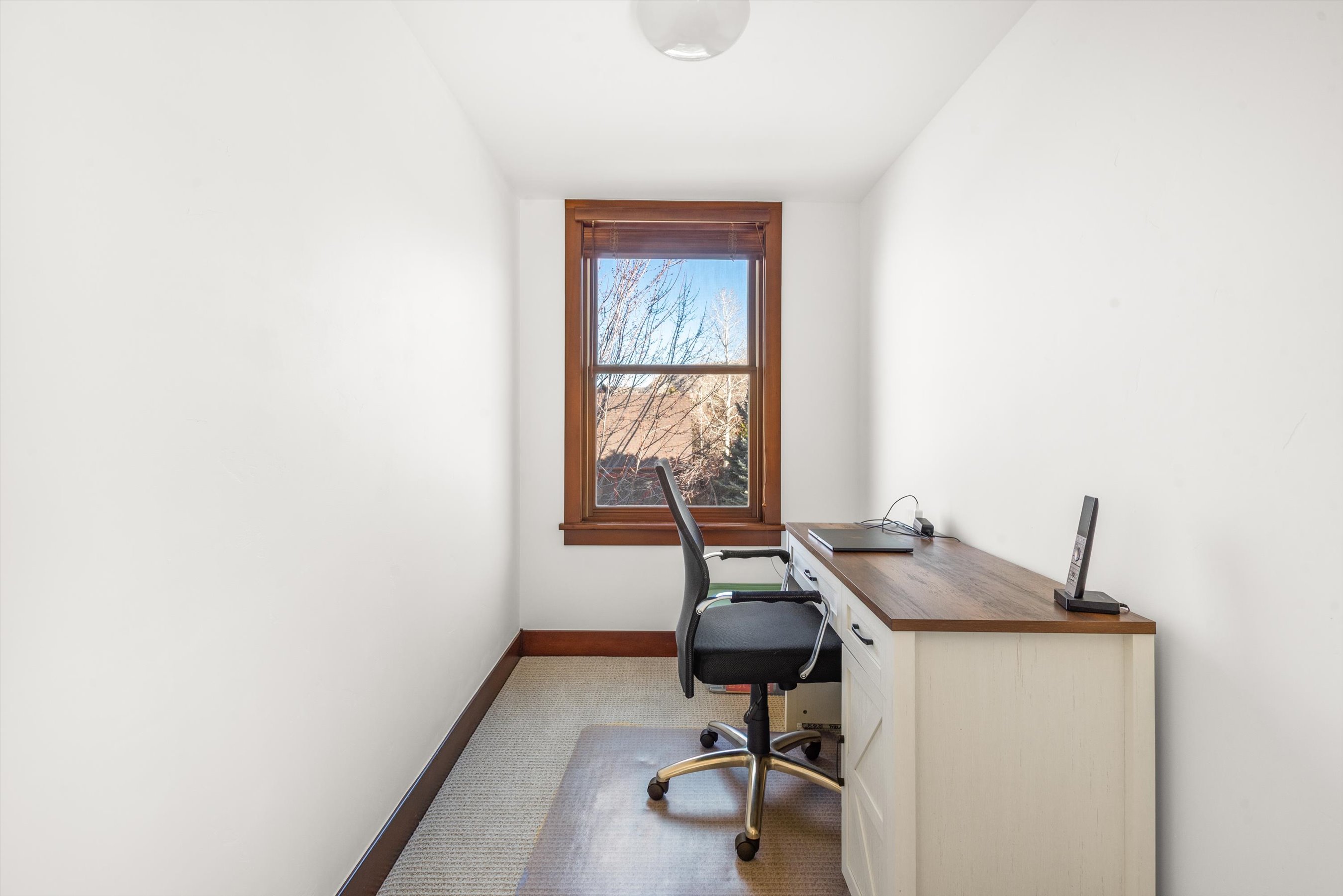  410 Meadow Court, Basalt, CO, 81621 - 物件實景