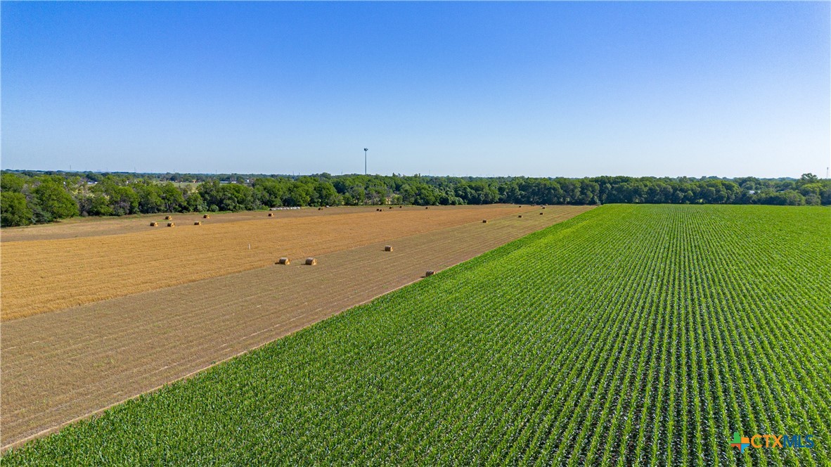 Mcqueeney, Texas, 78123, United States, ,Land,For Sale,2049339