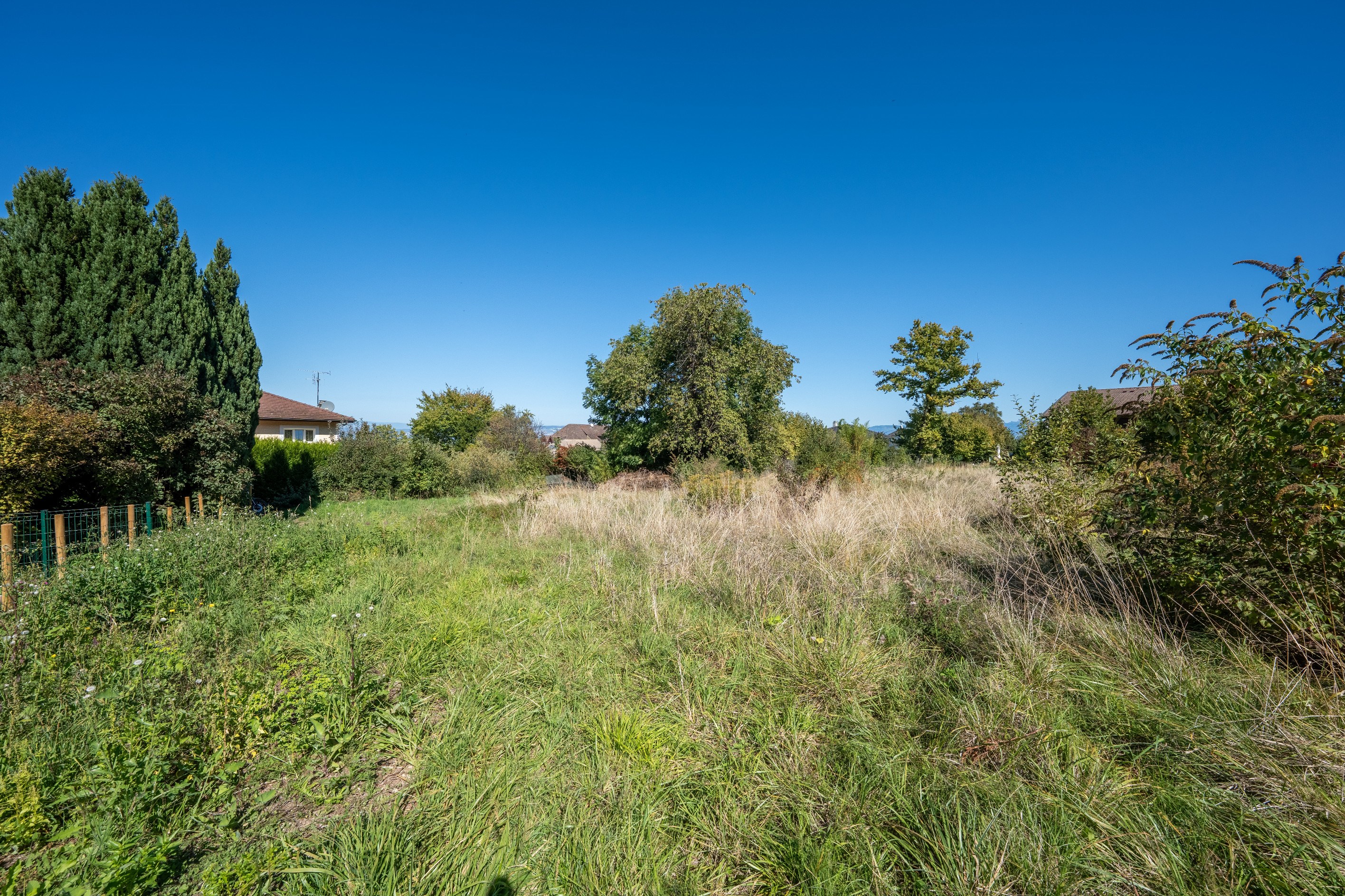  Neuvecelle, 836 m² plot of building land - 物件實景