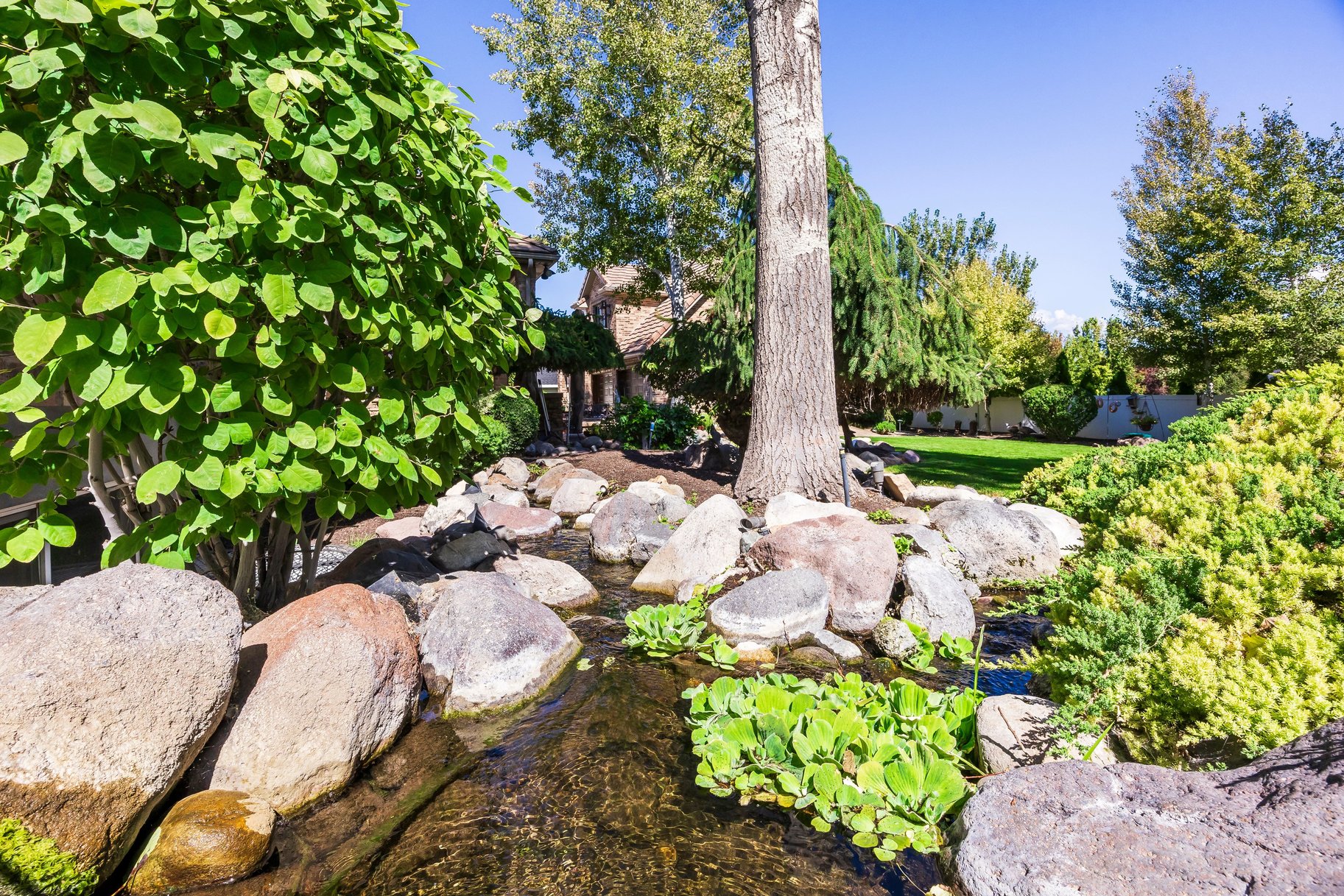  Custom South Jordan Rambler with Koi Pond, RV Parking & ADU Apartment - 物件實景