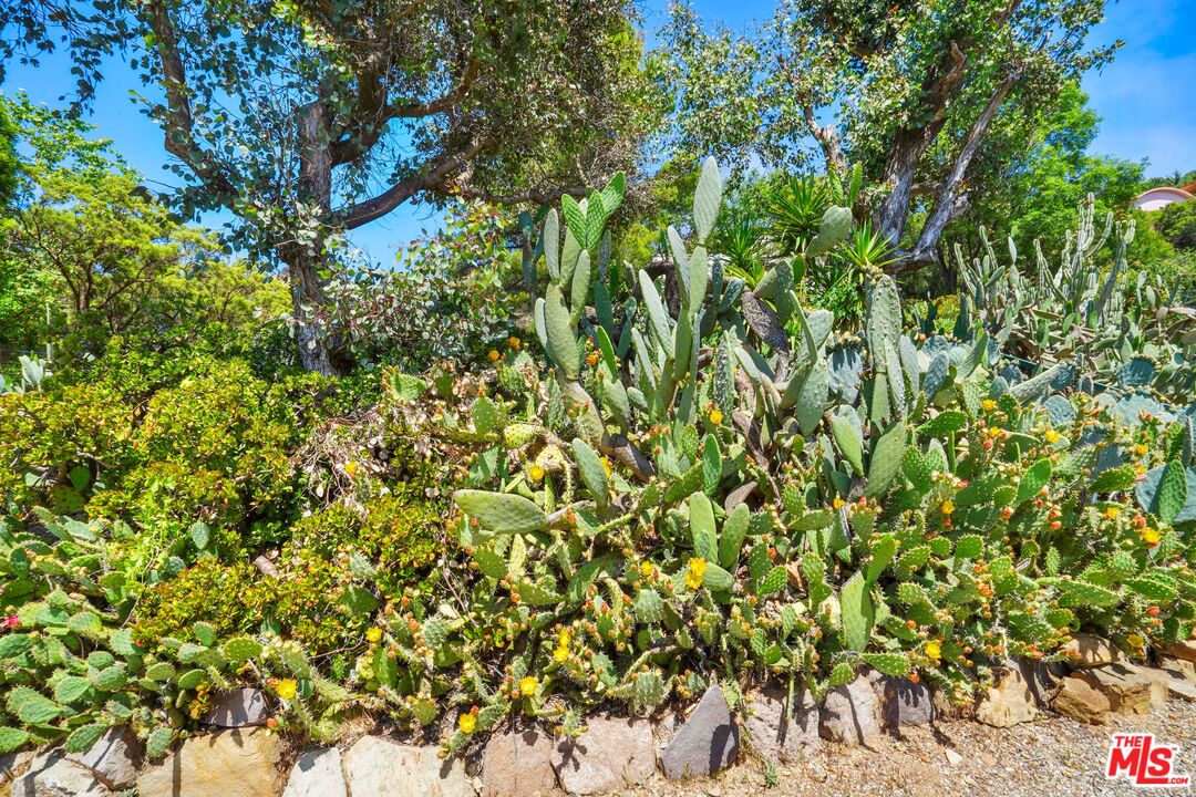 Malibu, California, 90265, United States, 3 Bedrooms Bedrooms, ,3 BathroomsBathrooms,Residential,For Sale,1859463