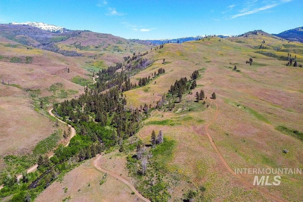 Council, Idaho, 83612, United States, ,Residential,For Sale,1862004