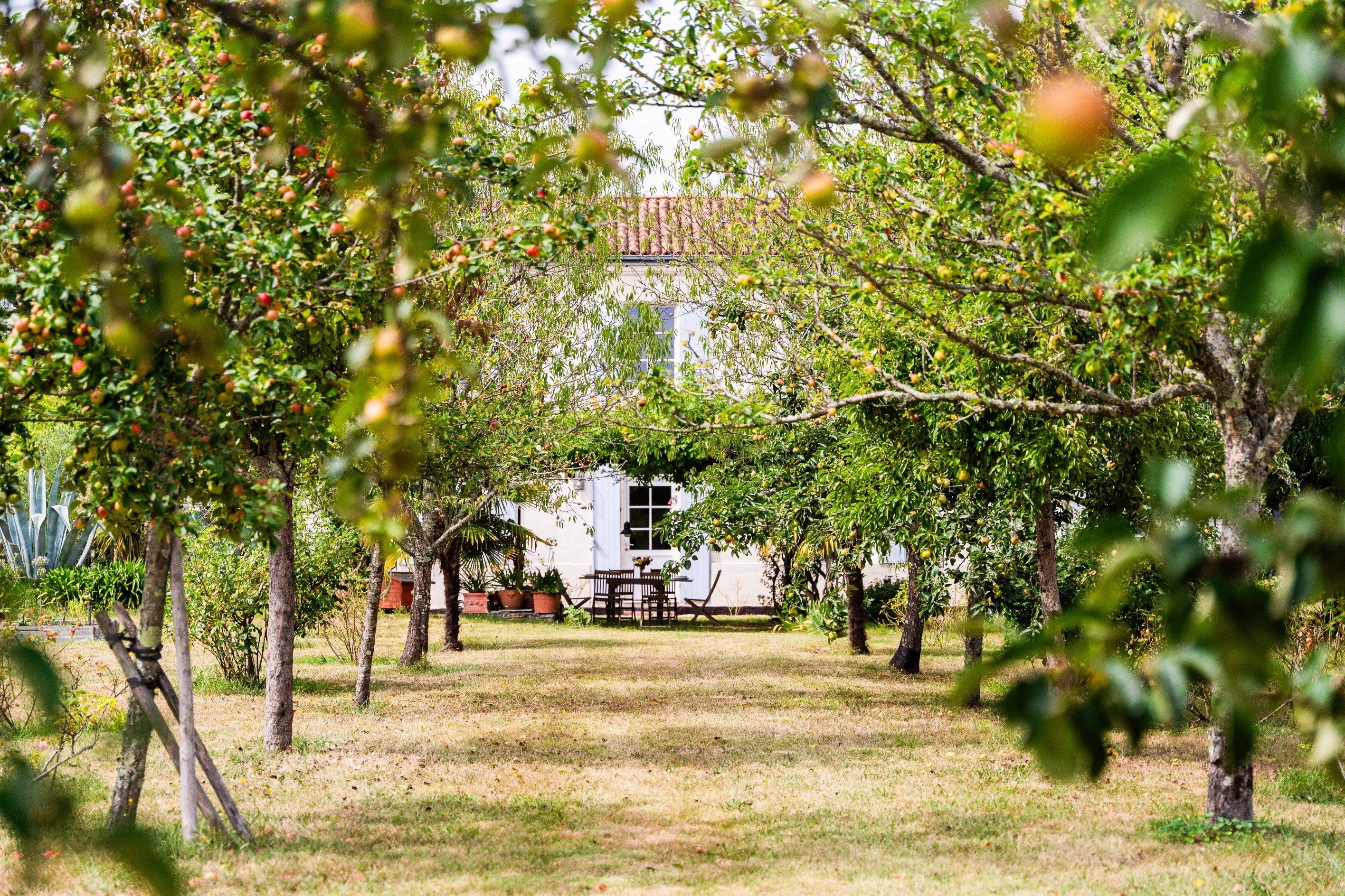  CHARMING CHARACTER RESIDENCE NEAR ROYAN - 物件實景