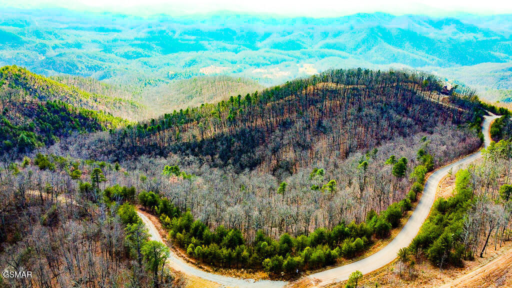 Sevierville, Tennessee, 37876, United States, ,Land,For Sale,2009102