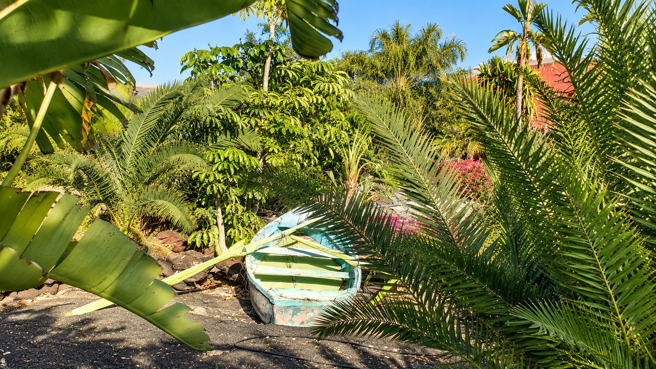  Retirement and Wellness Property in Tarajalejo, Fuerteventura - 物件實景