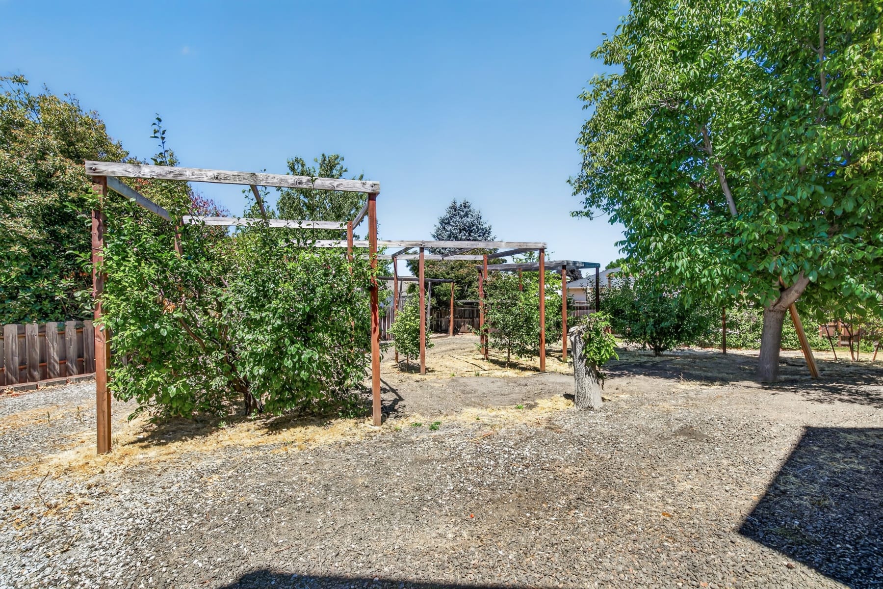  182 Justin Court Central Point, OR 97502 - 物件實景