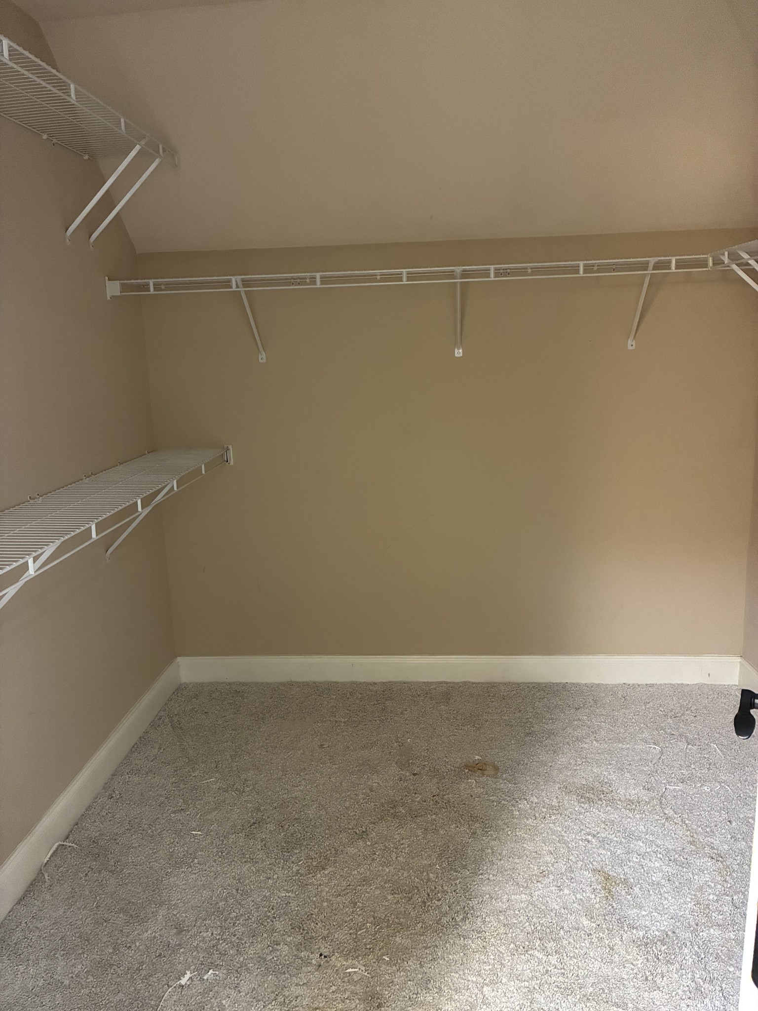  108 Turning Leaf Way, Hendersonville, TN, 37075 - 物件實景