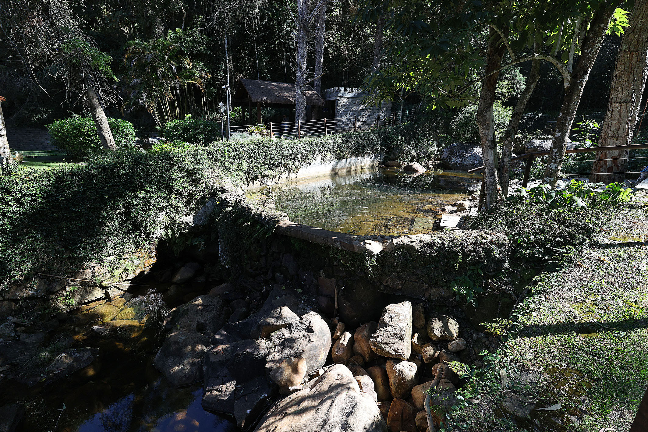  Estate surrounded by nature with private waterfall in Araras - 物件實景