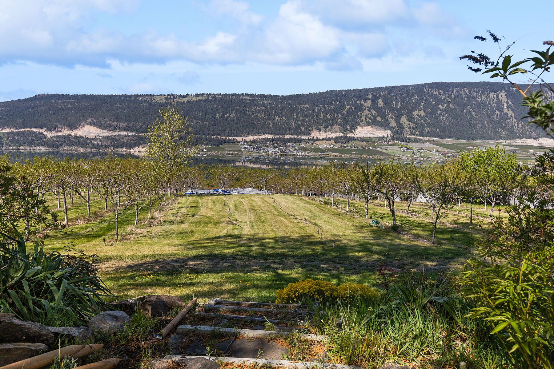  2.63 Acres in Oyama - 物件實景