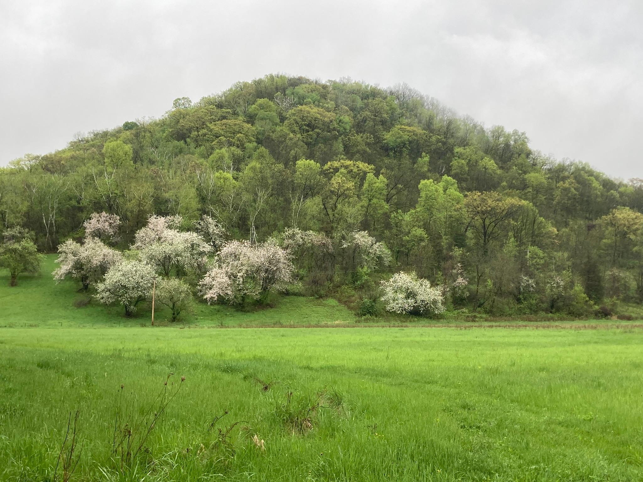Winona, Minnesota, 55987, United States, 5 Bedrooms Bedrooms, ,2 BathroomsBathrooms,Residential,For Sale,2005788