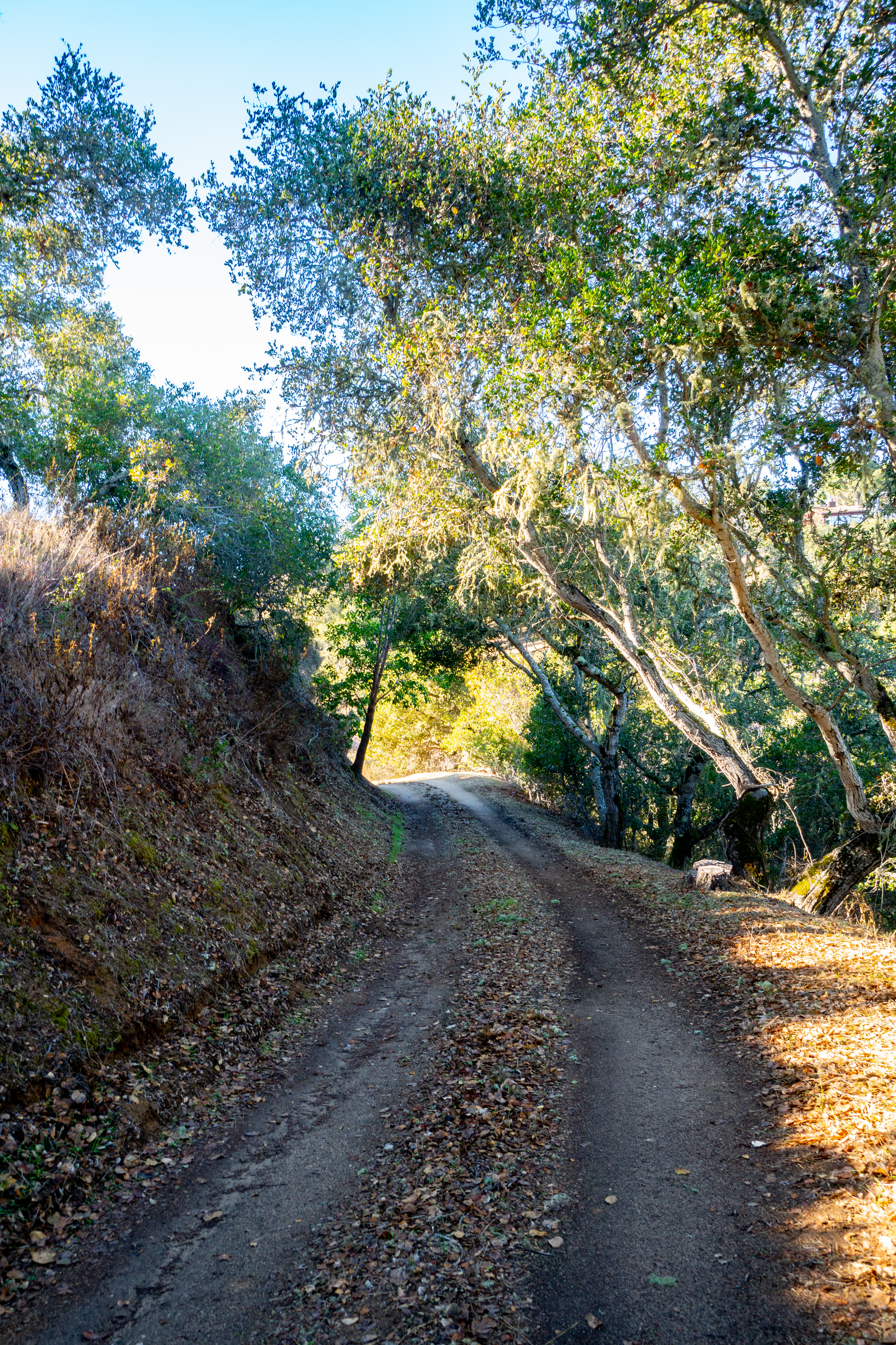  17114 Cachagua Road - 物件實景