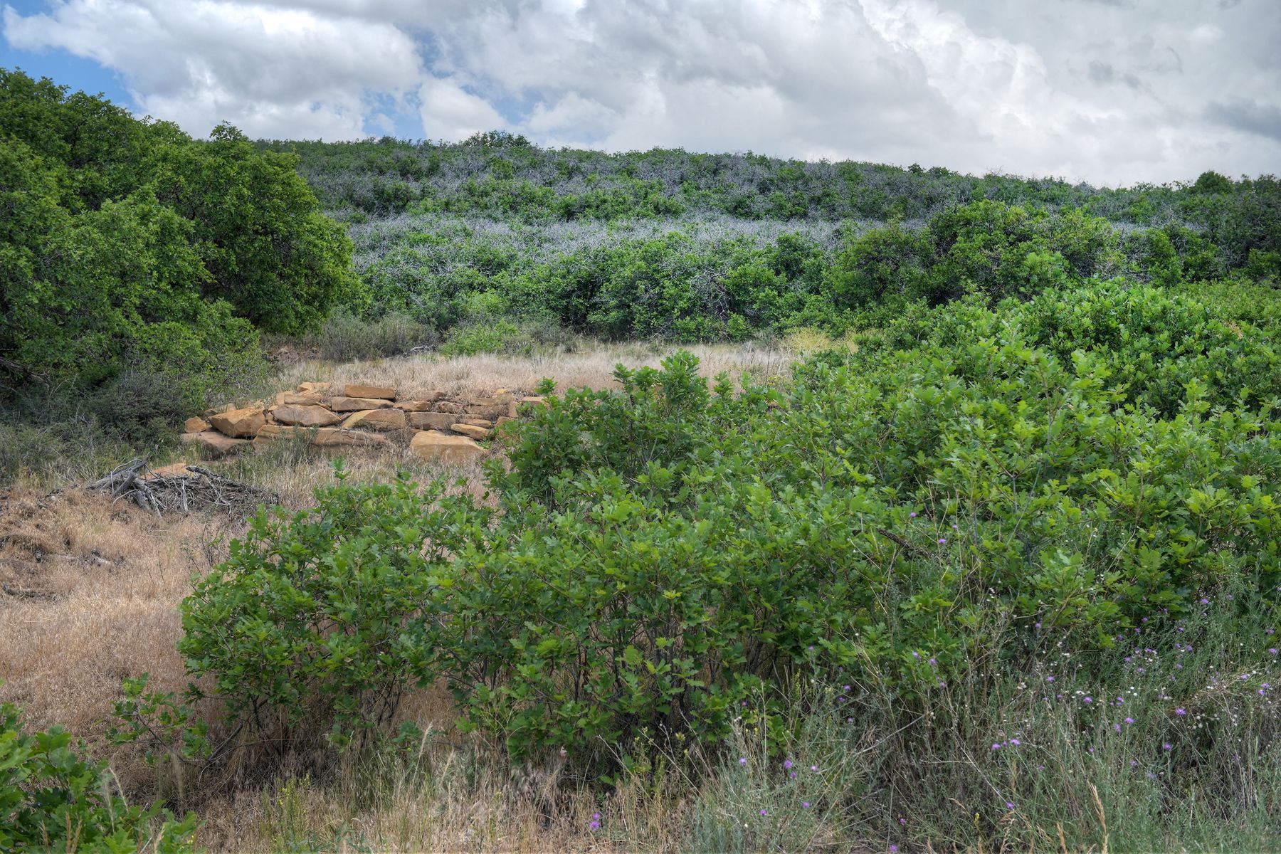  TBD Cross Creek Road, Hesperus, CO 81326 - 物件實景