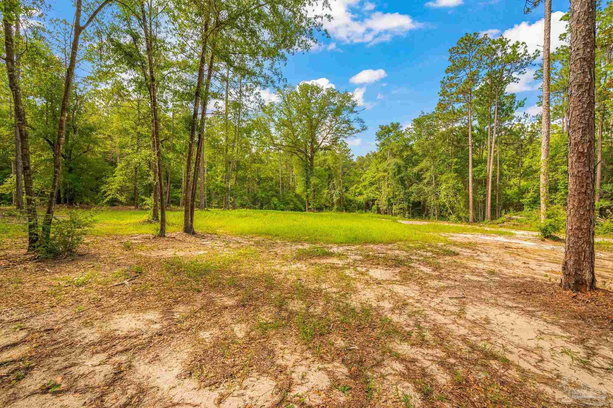 Molino, Florida, 32577, United States, 4 Bedrooms Bedrooms, ,3 BathroomsBathrooms,Residential,For Sale,1876750