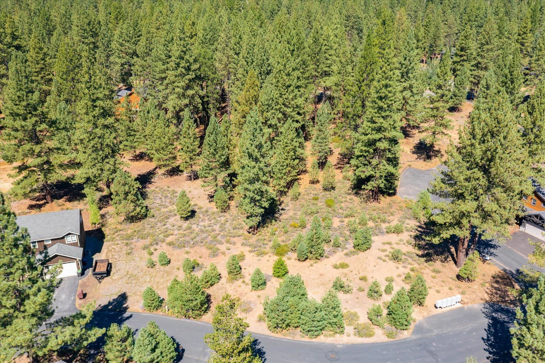Truckee, California, 96161, United States, ,Land,For Sale,1942120
