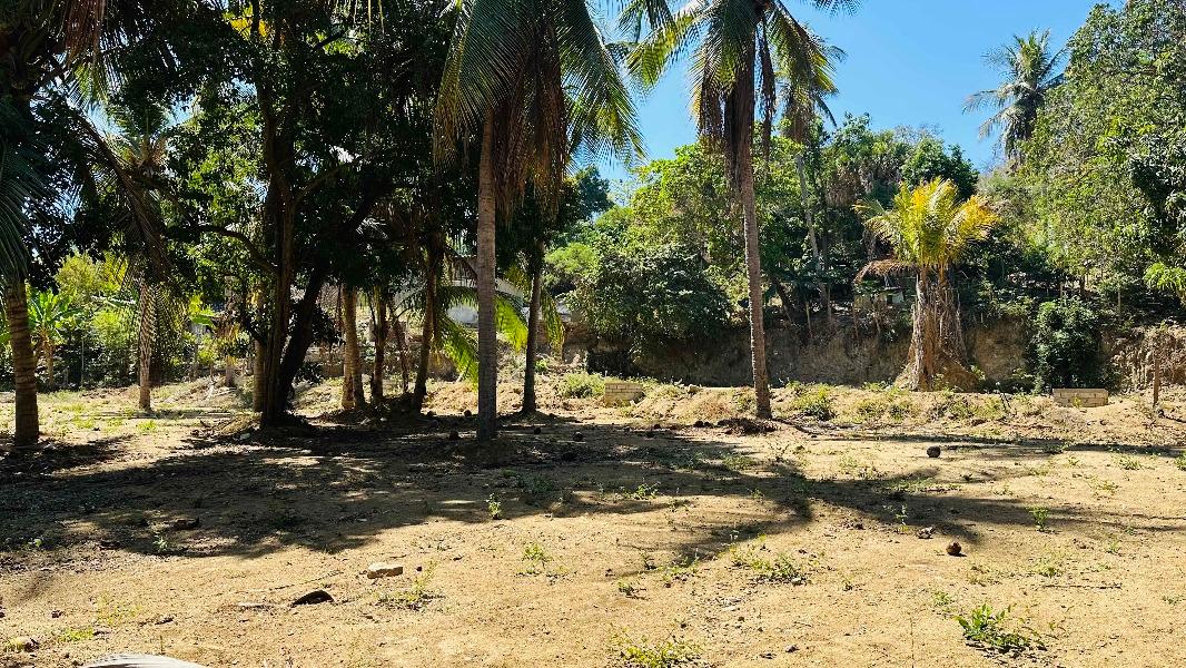 C Porfirio D?az, San Pedro Mixtepec -Dto. 22 -, Oaxaca, 71984, Mexico, 1 Bedroom Bedrooms, ,Residential,For Sale,C Porfirio D?az,1460888