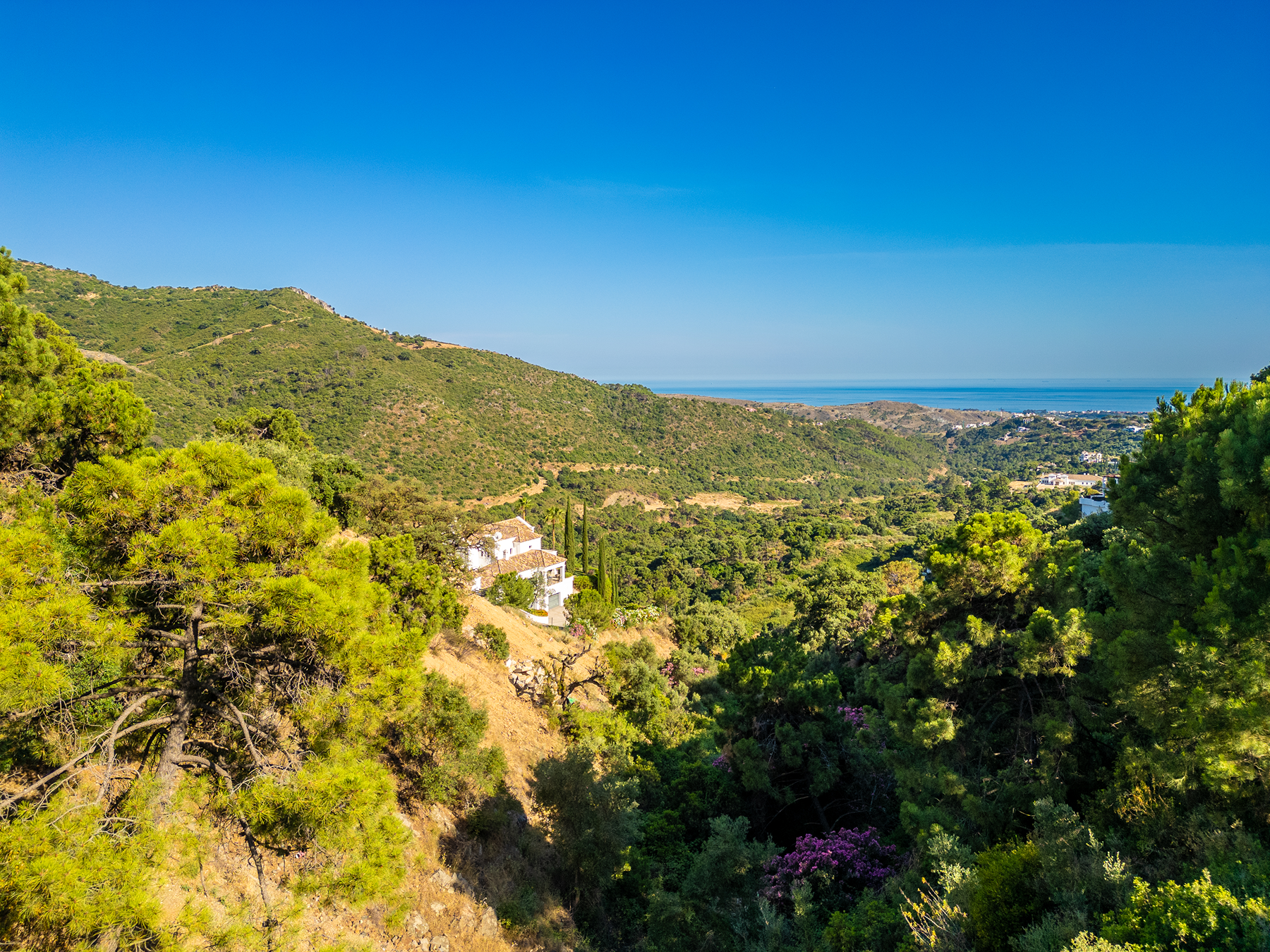  Panoramic sea-view plot in Monte Mayor, Benahavís - 物件實景