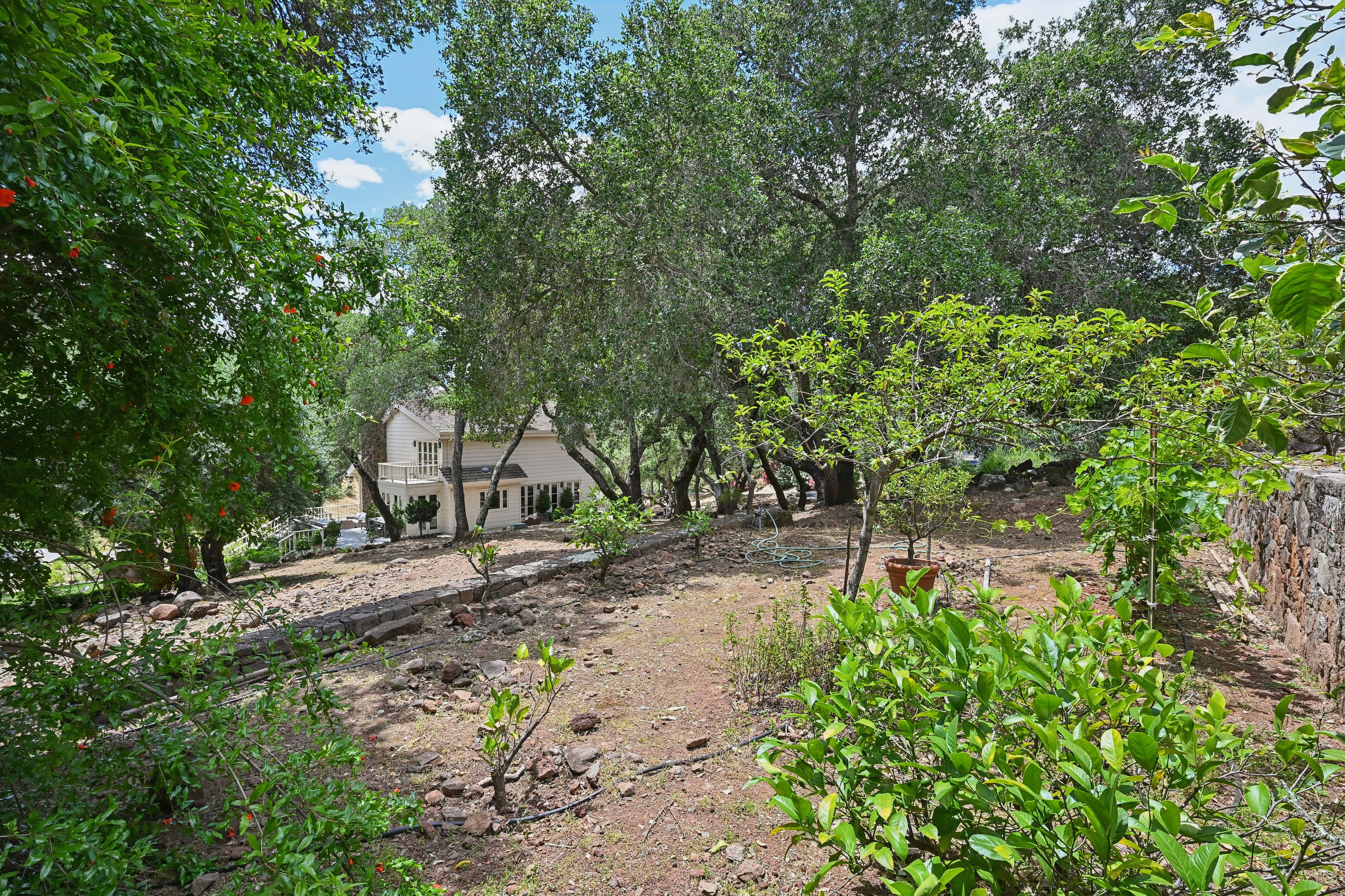  Iconic Silverado Trail Gated Estate - 物件實景