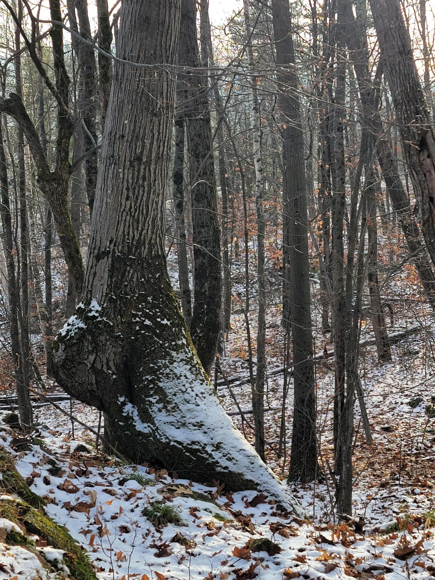 735 Highland Road, Keeseville, New York, 12944, United States, 2 Bedrooms Bedrooms, ,2 BathroomsBathrooms,Residential,For Sale,735 Highland Road,1587579