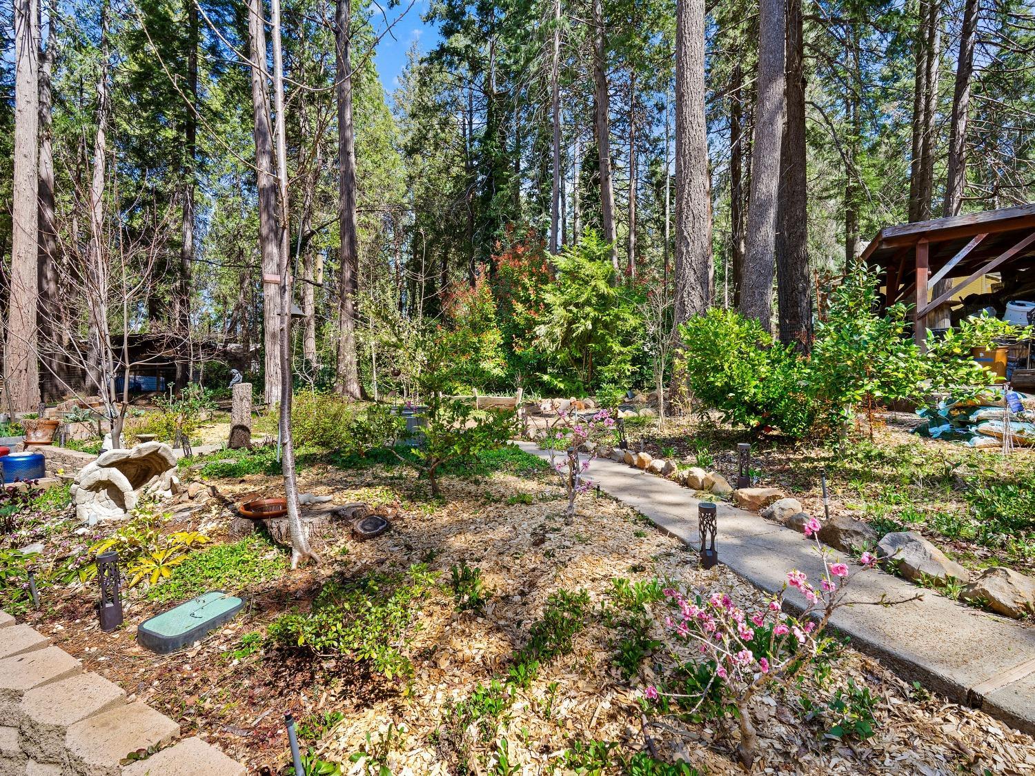 Nevada City, California, 95959, United States, 3 Bedrooms Bedrooms, ,3 BathroomsBathrooms,Residential,For Sale,1945021