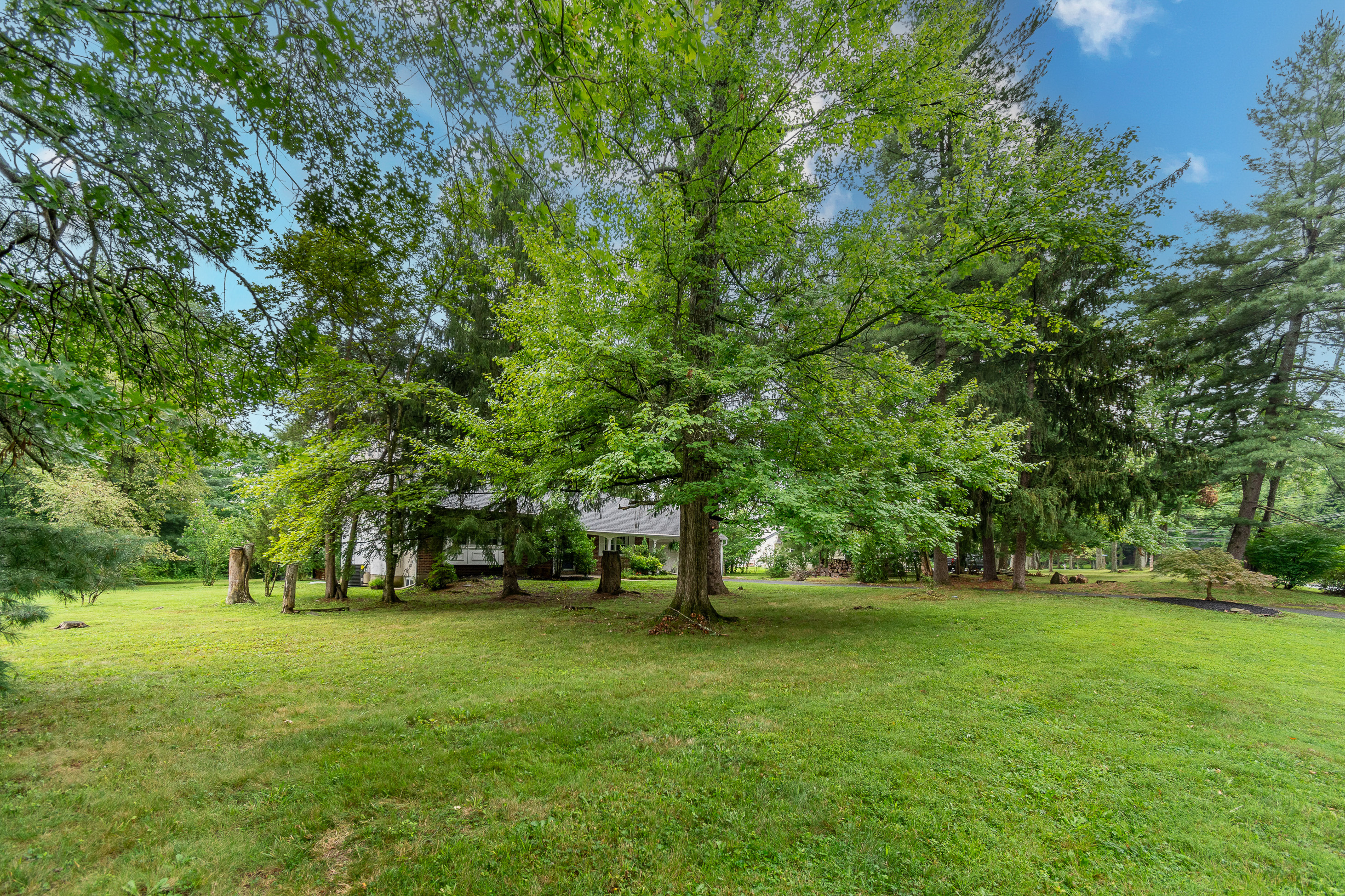  Space, Style and Flexibility Just Minutes to Doylestown - 物件實景