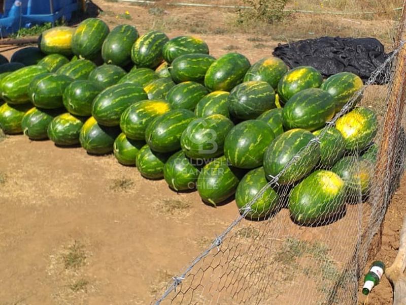 Portezuelo, Chile, 4 Bedrooms Bedrooms, ,2 BathroomsBathrooms,Residential,For Sale,1758826