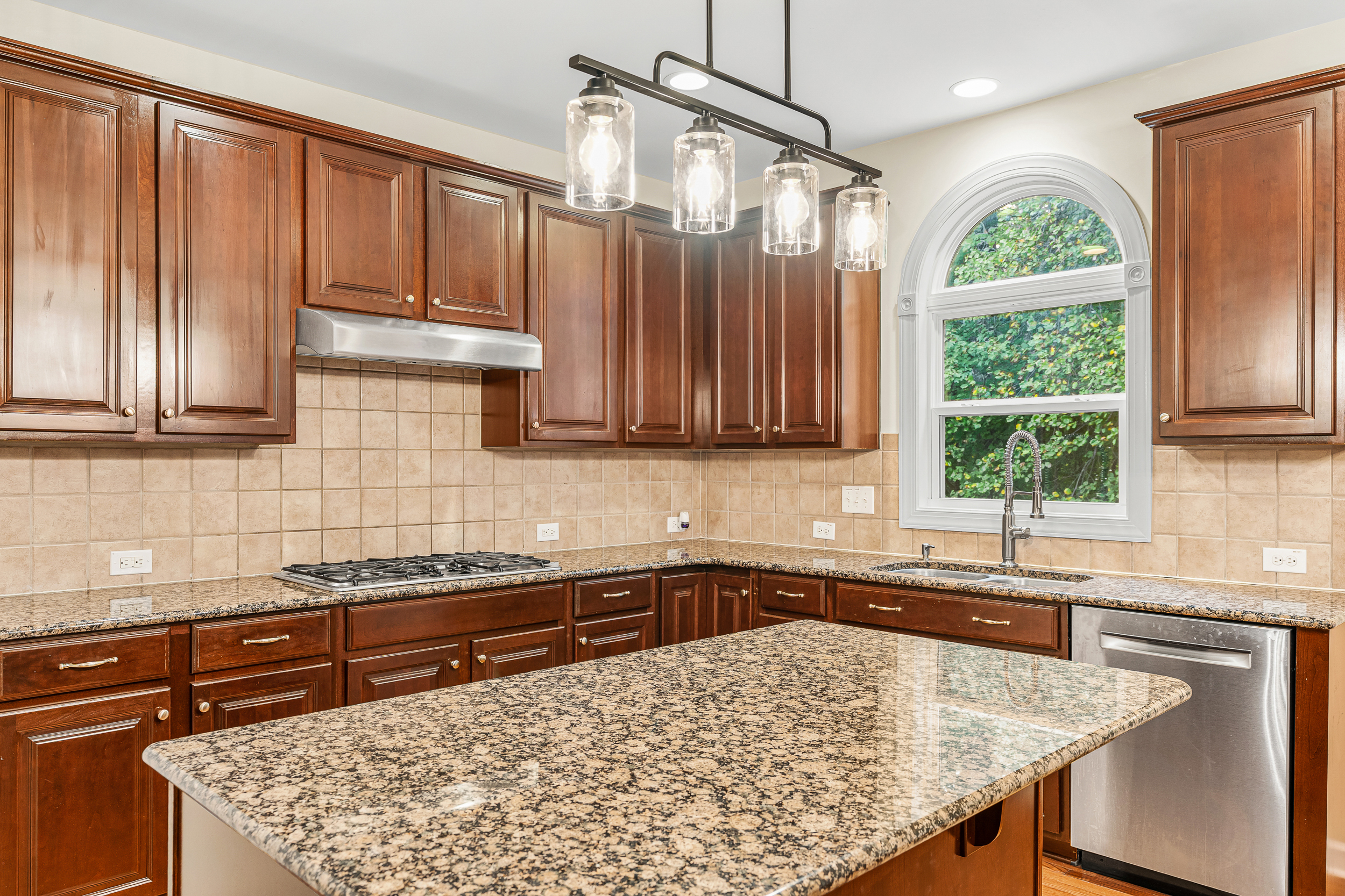 110 Vintage Hill Circle, Apex, NC 27539 - 物件實景